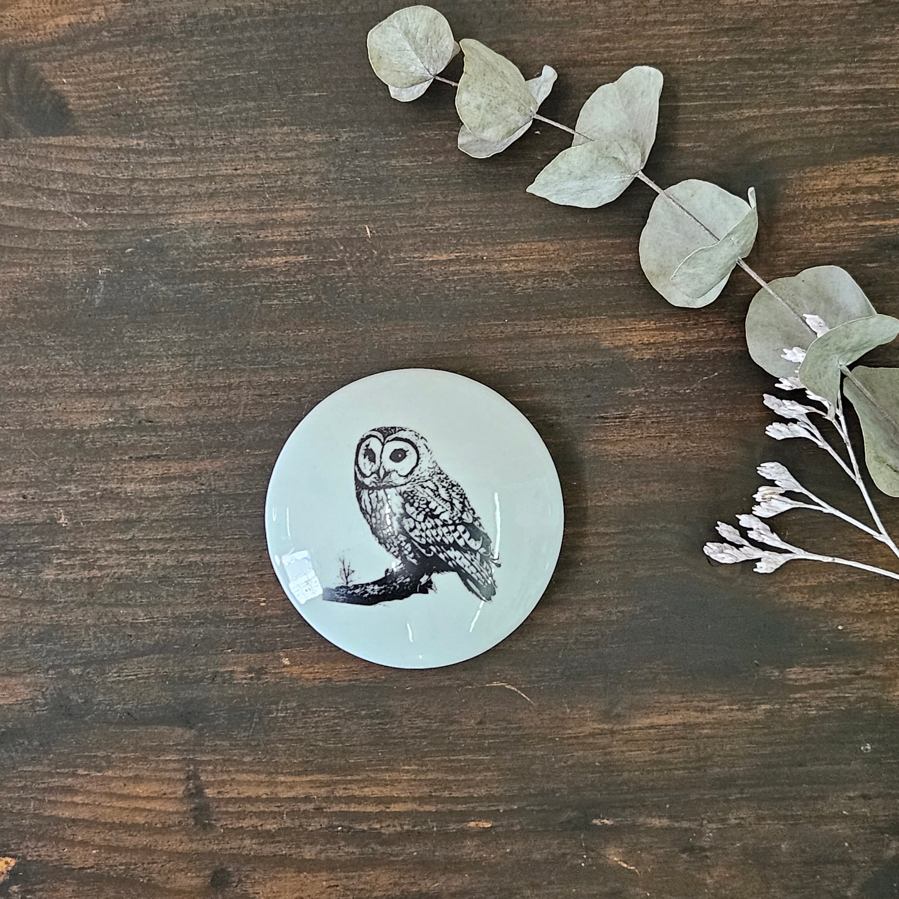 Owl on tree - Round porcelain box