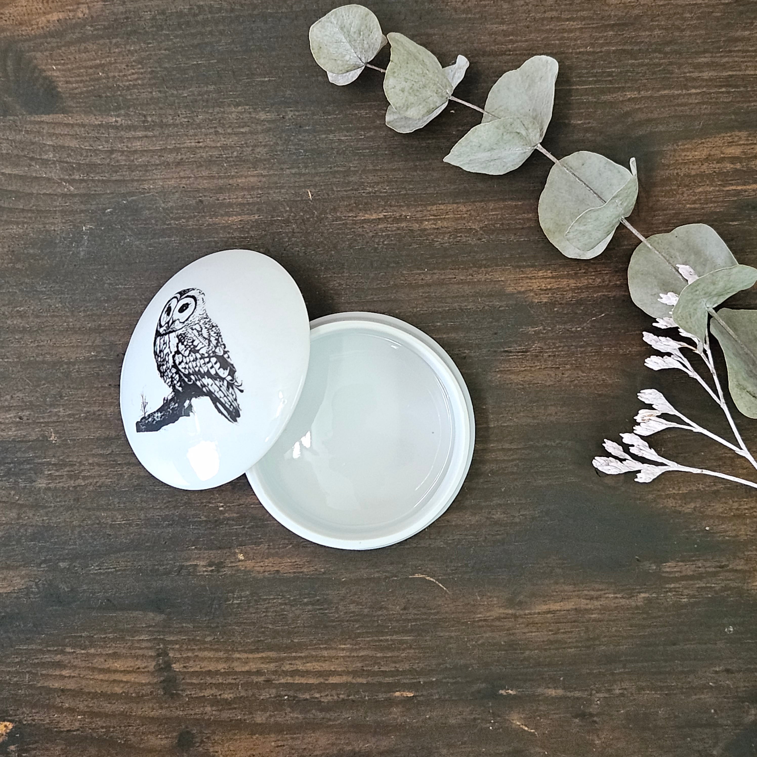 Owl on tree - Round porcelain box