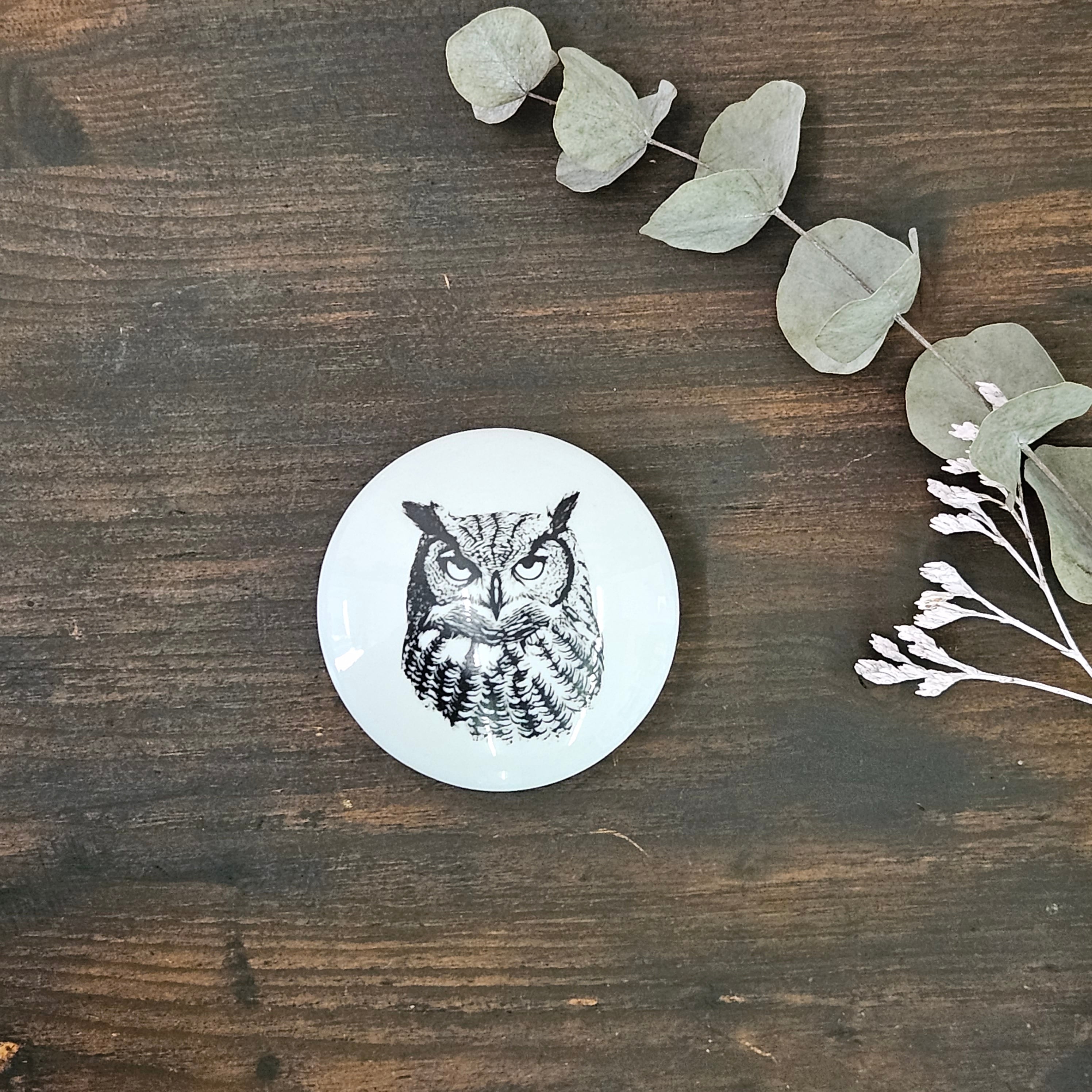 Owl - Round porcelain box