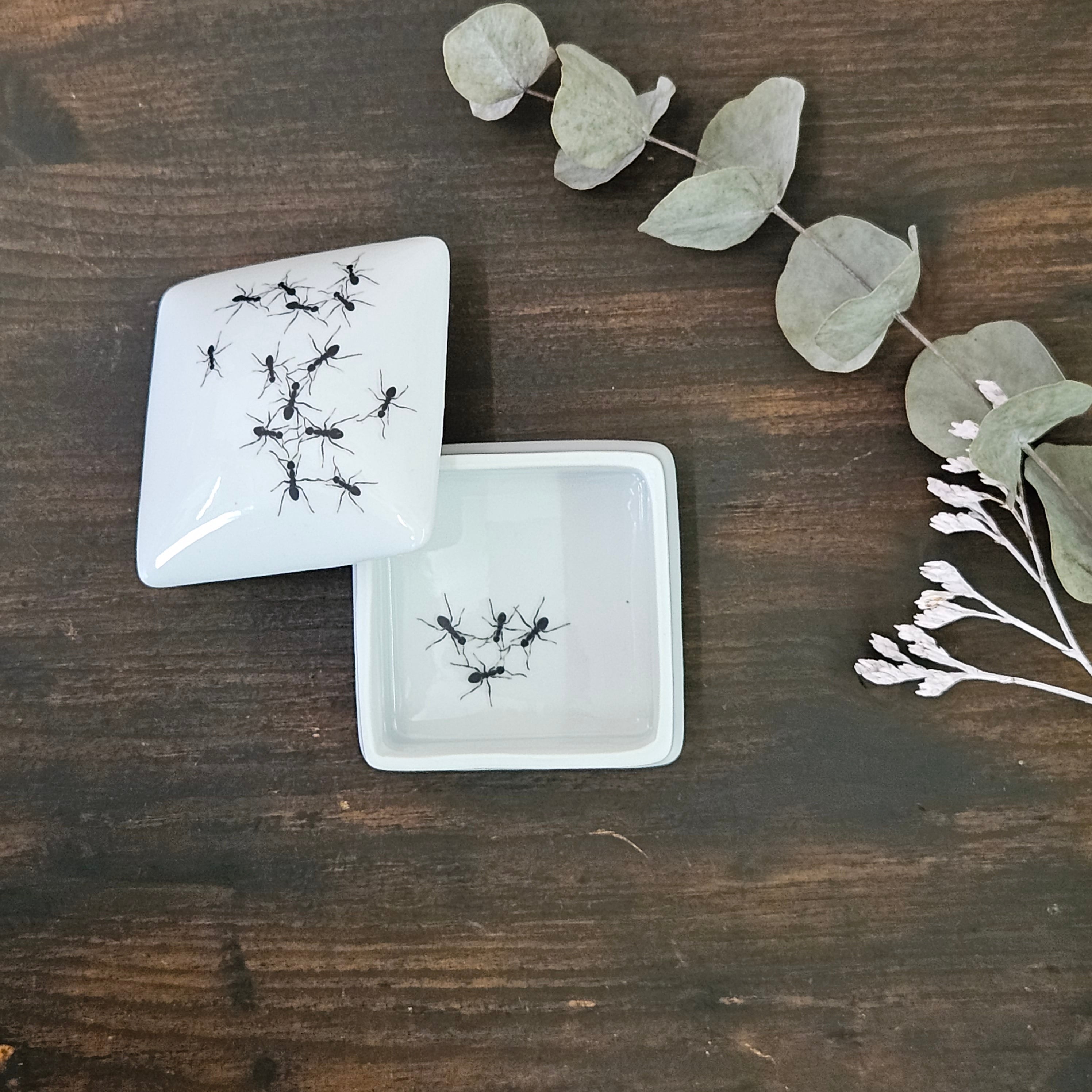 Ants - Square porcelain box