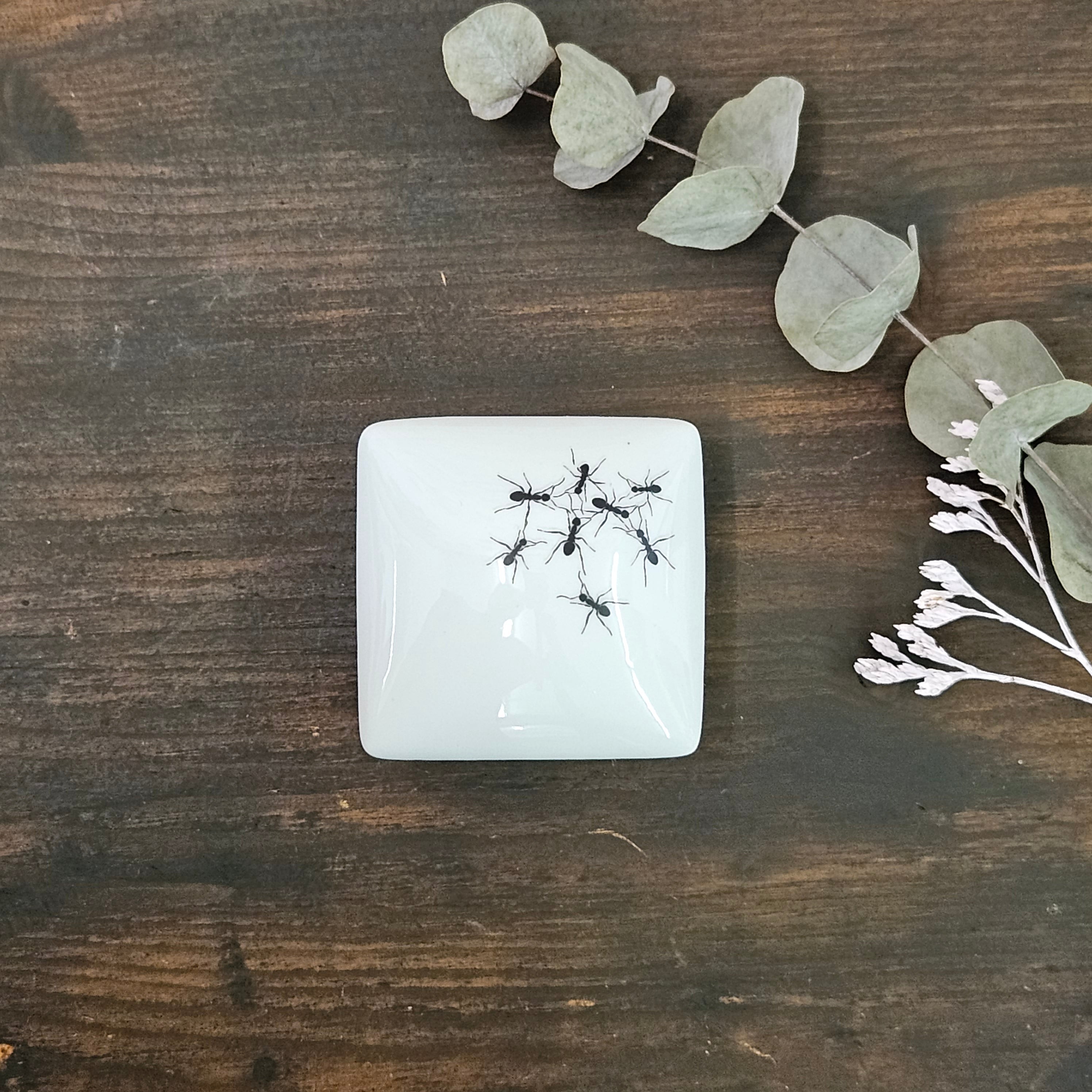 Ants II - Square porcelain box