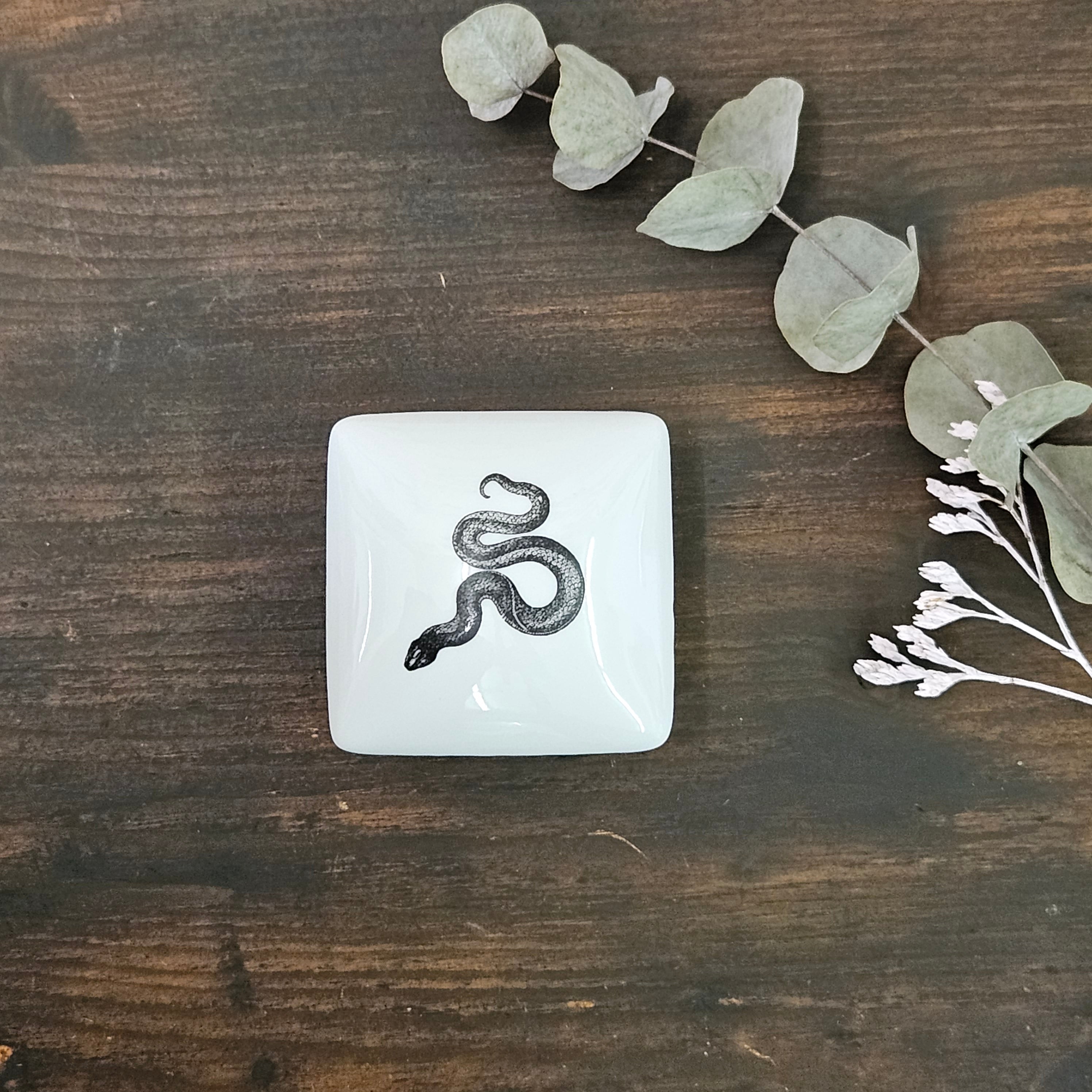 Snake - Square porcelain box