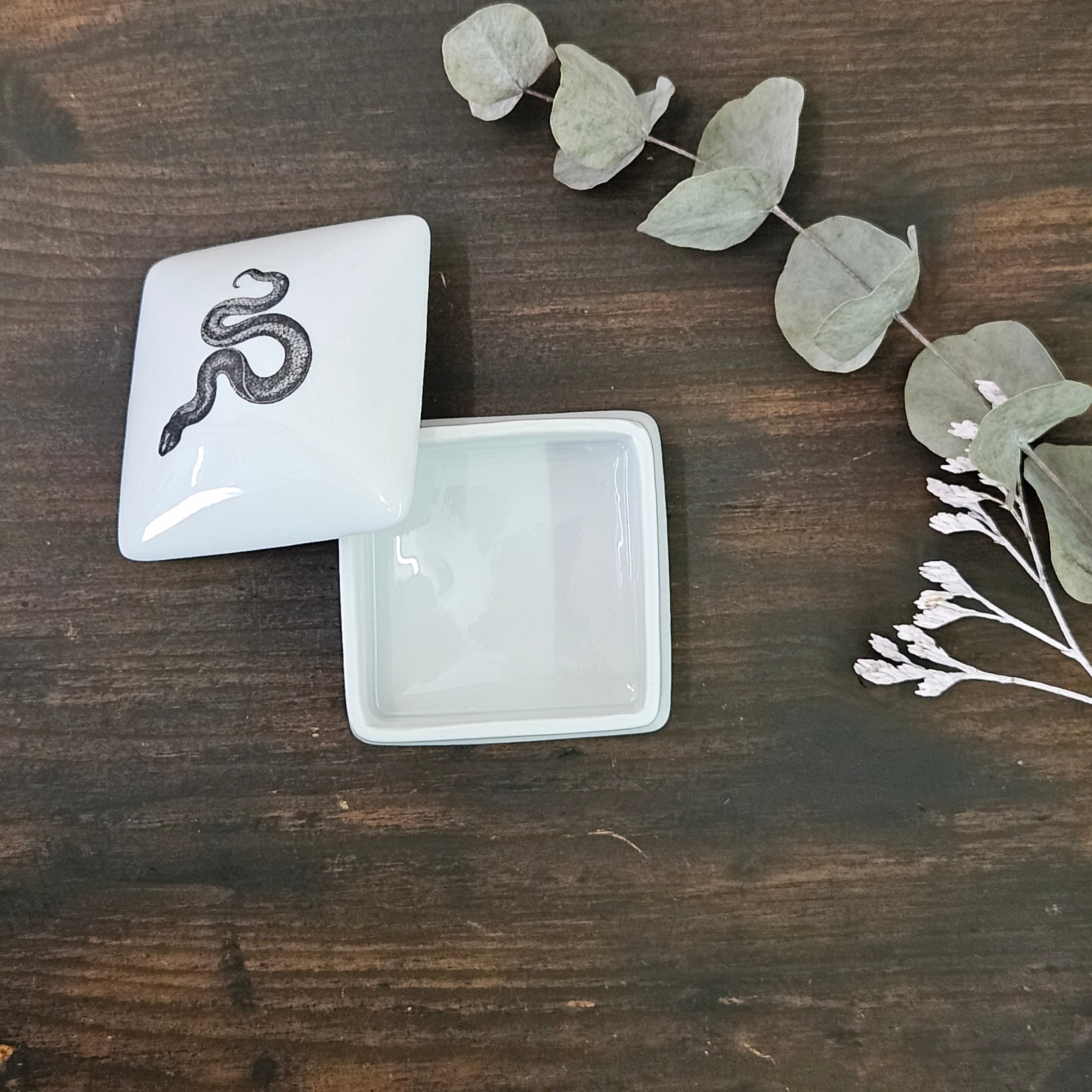 Snake - Square porcelain box