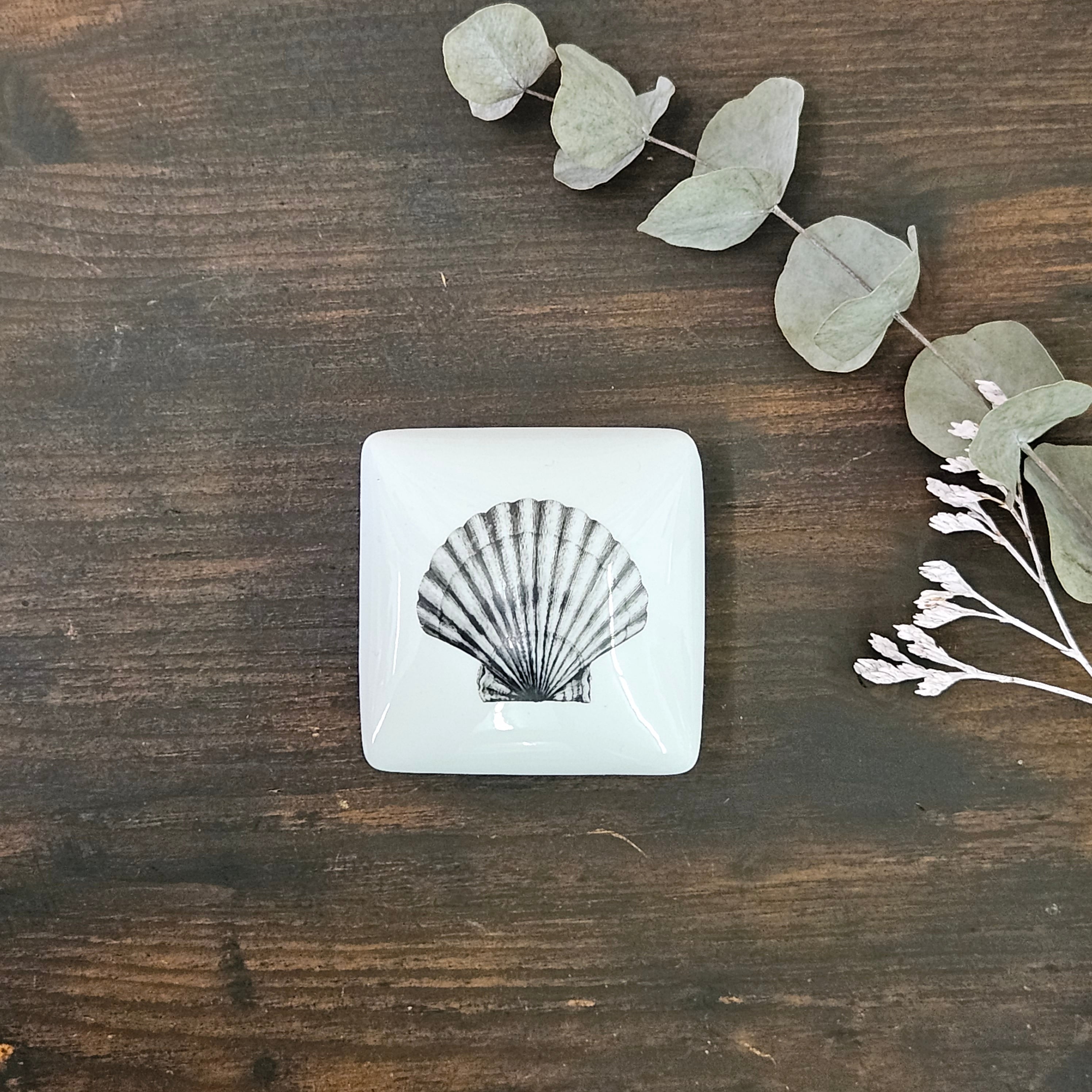 Scallop - Square porcelain box