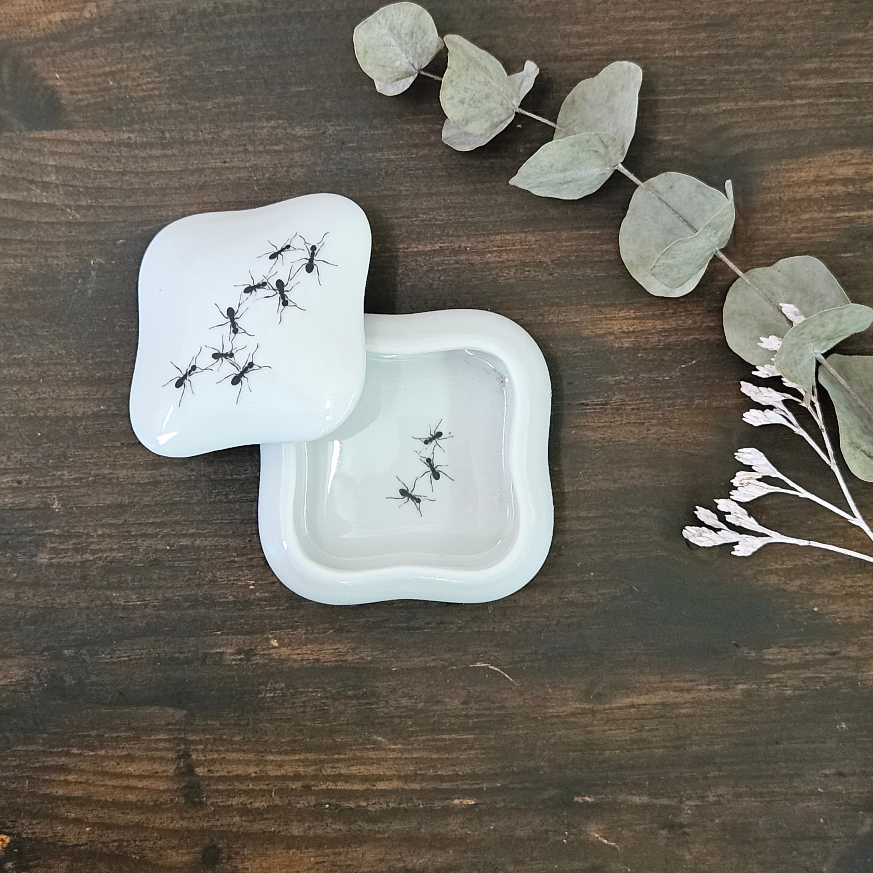 Ants - Rounded square porcelain box