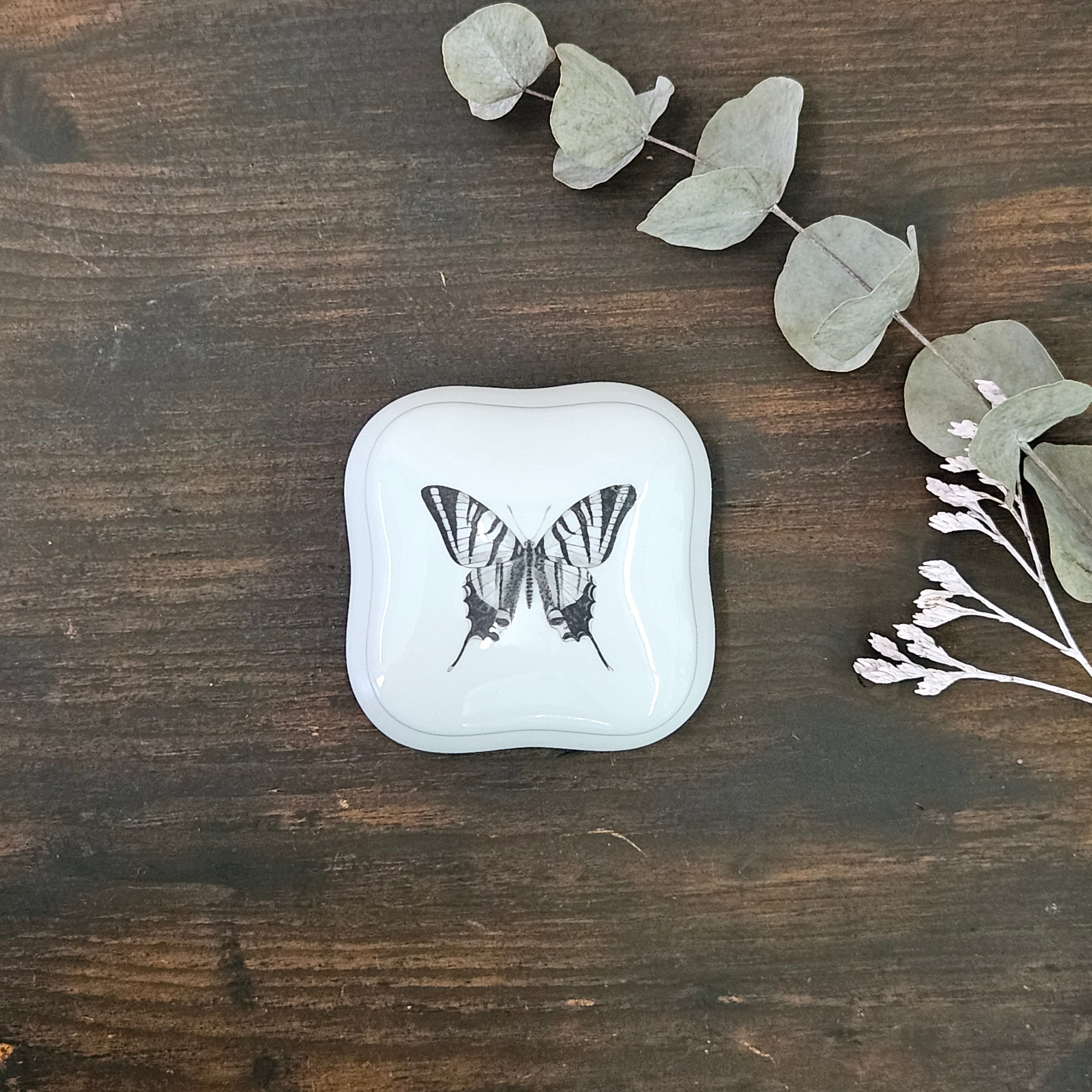 Butterfly - Rounded square porcelain box