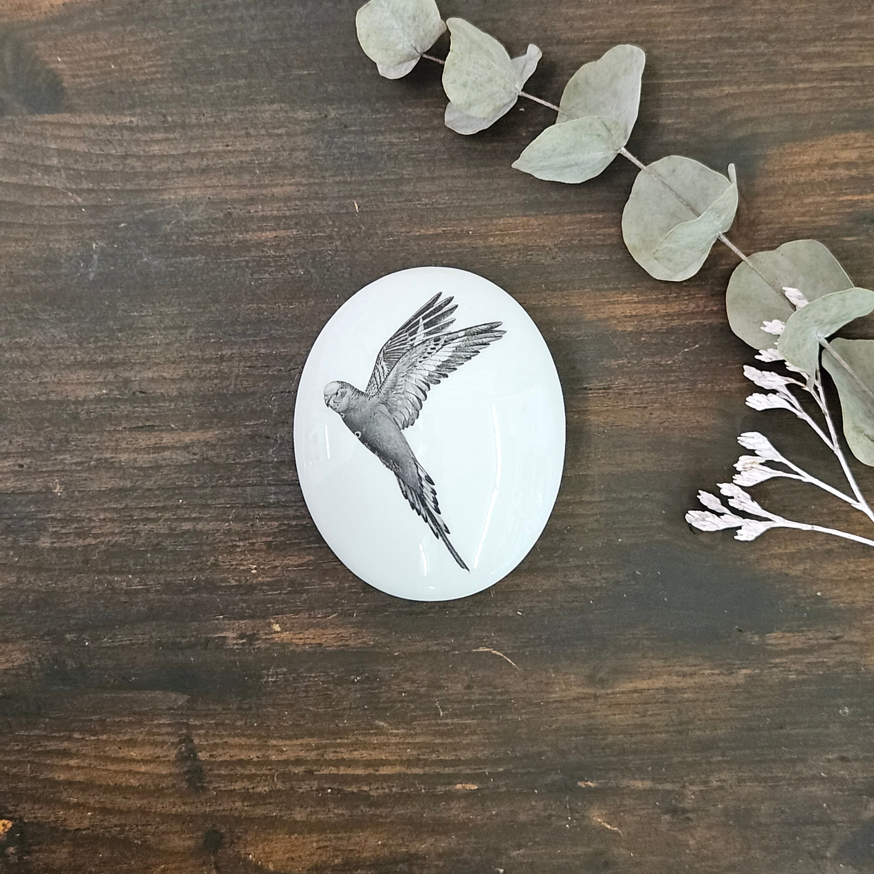 Parrot - Oval porcelain box