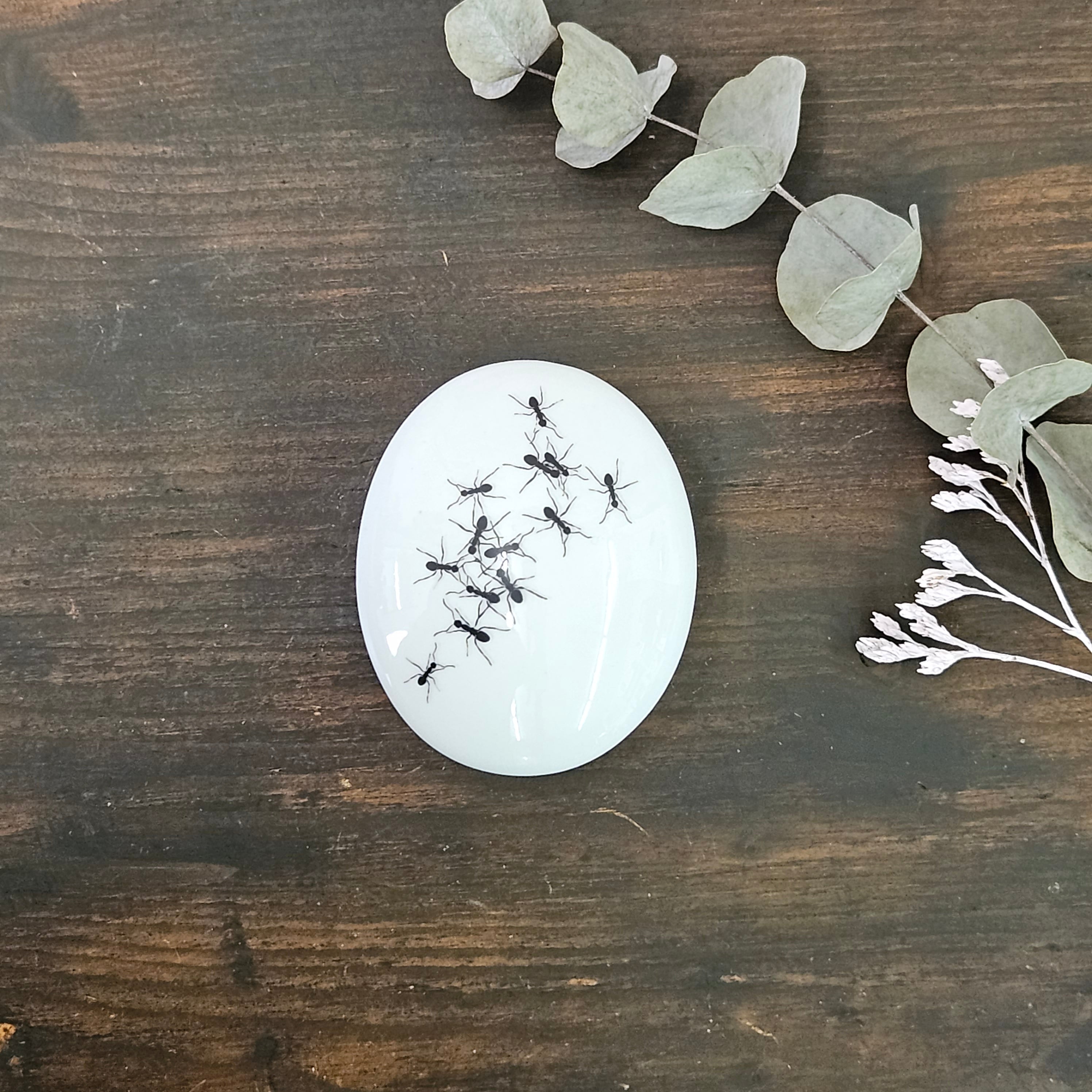 Ants - Oval porcelain box