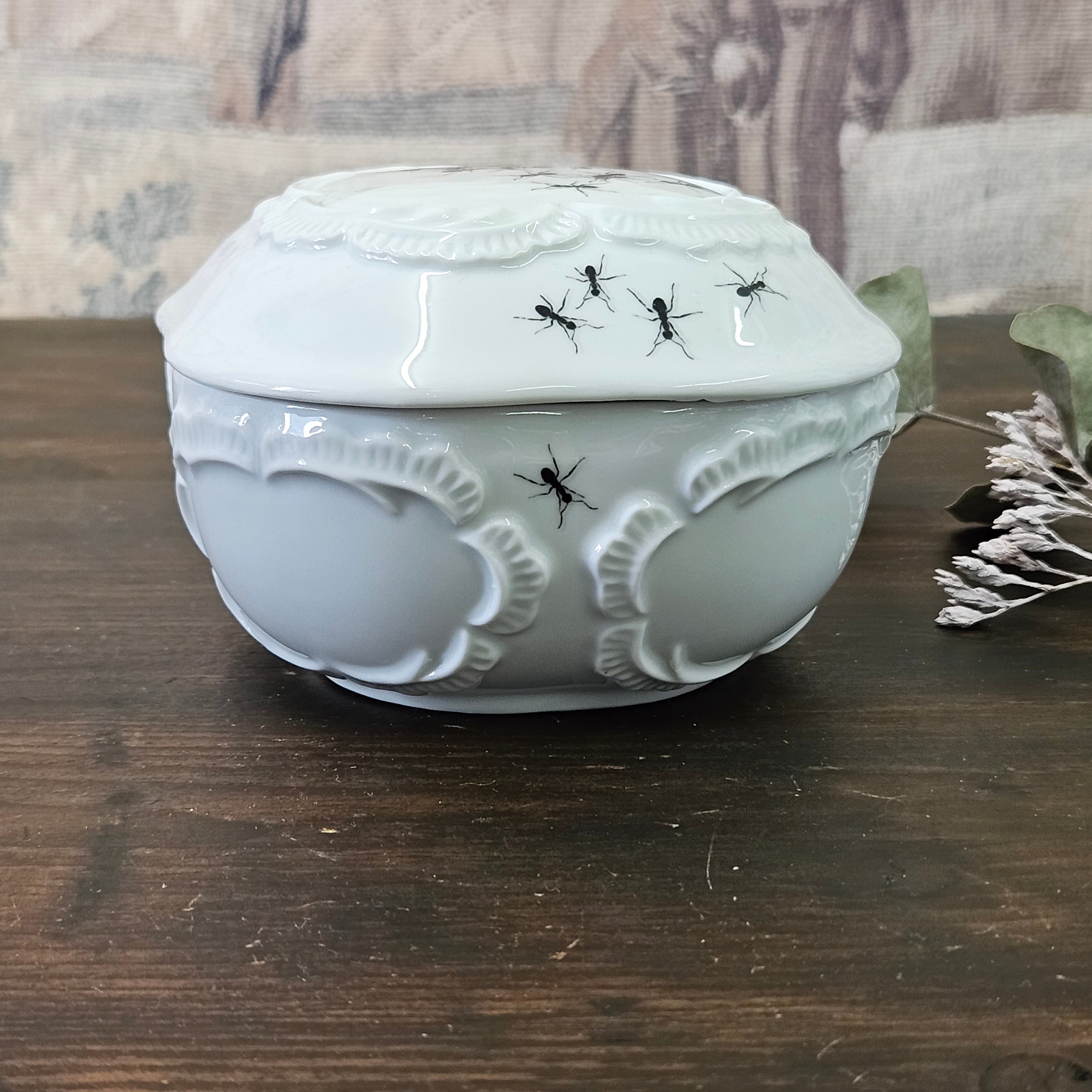 Ants - Big rounded square porcelain box