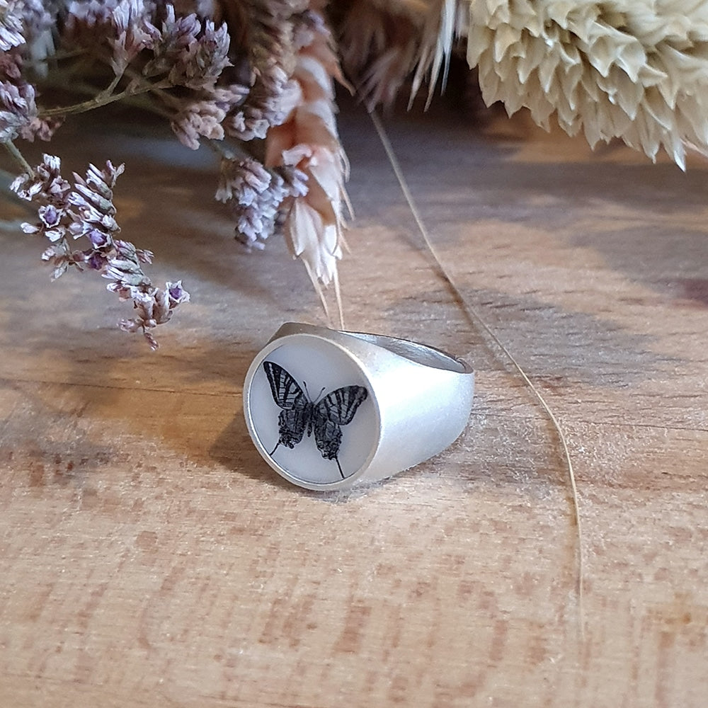 The Round Signet Ring - Tiger Swallowtail