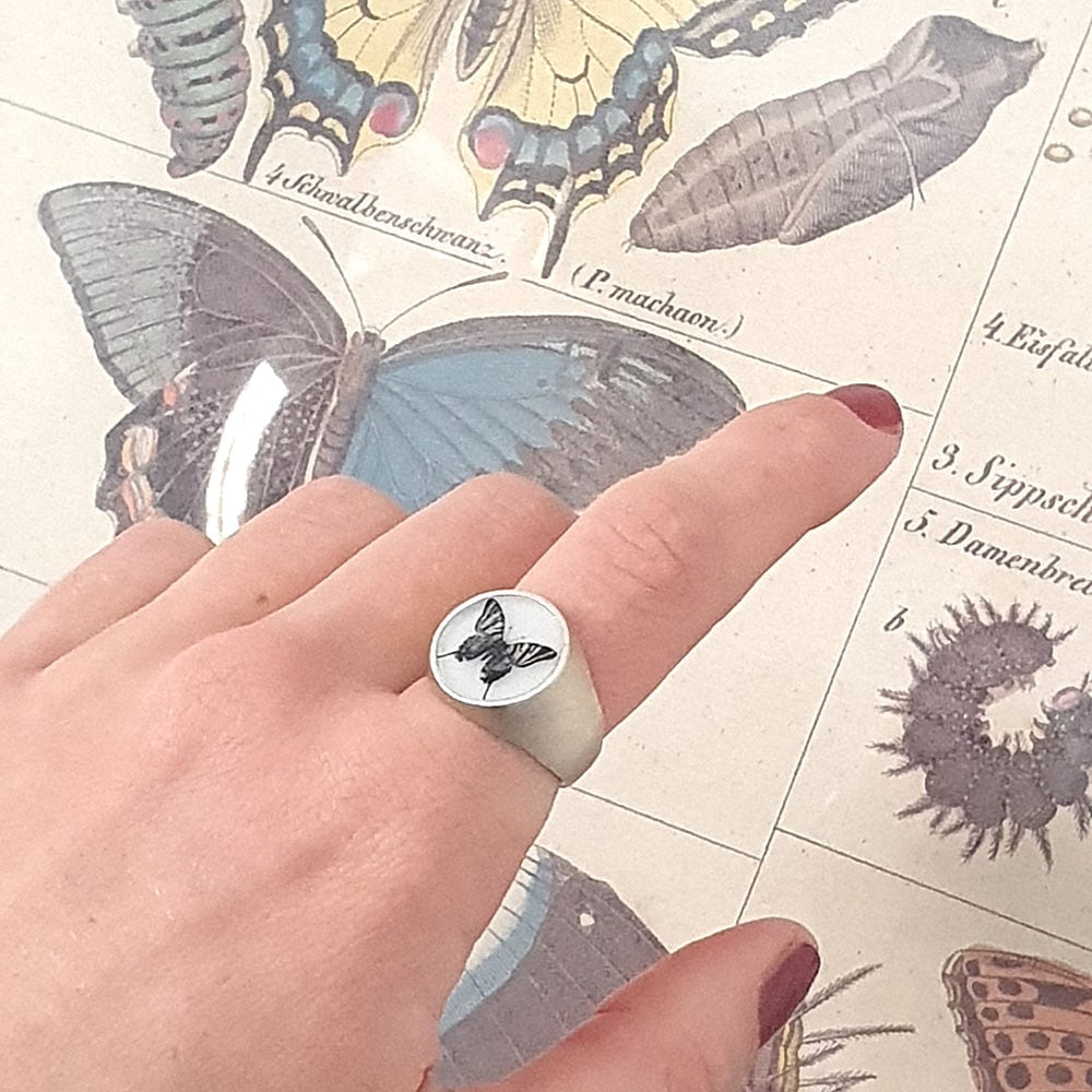 The Round Signet Ring - Tiger Swallowtail