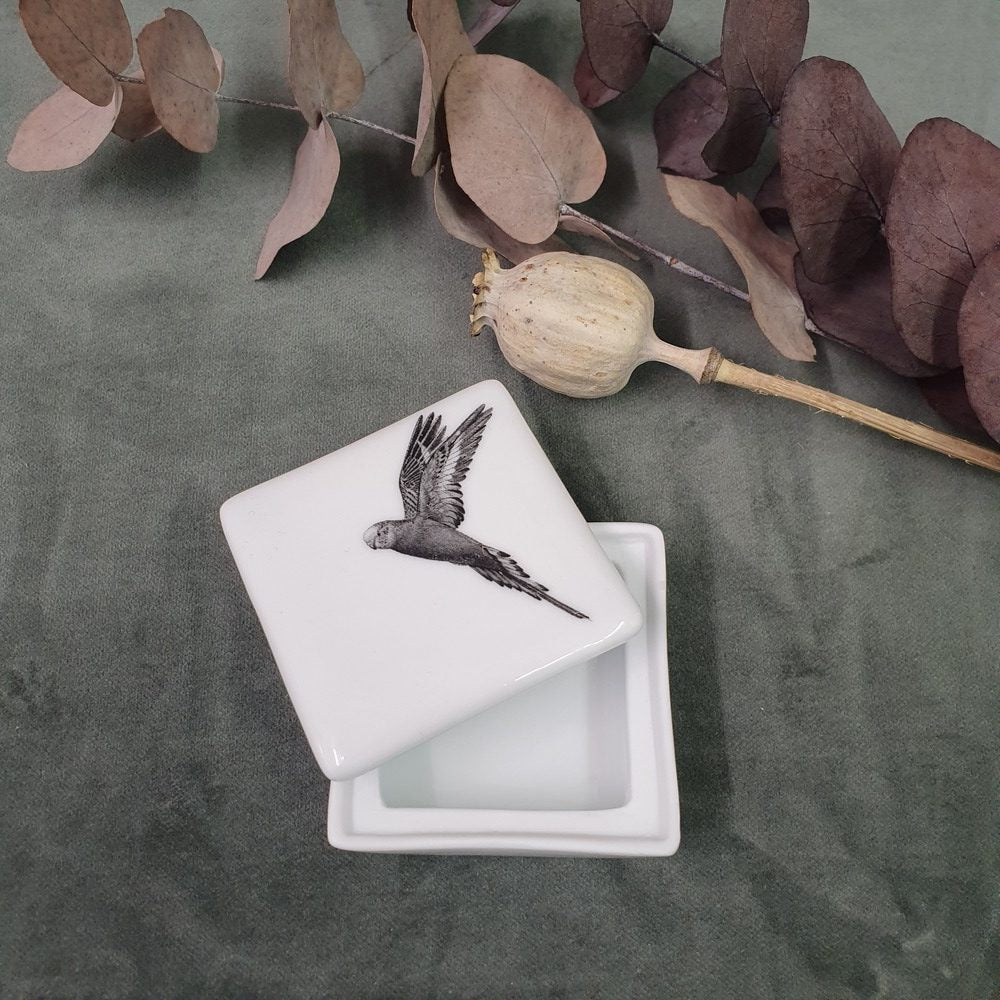 Parrot - Mini square porcelain box