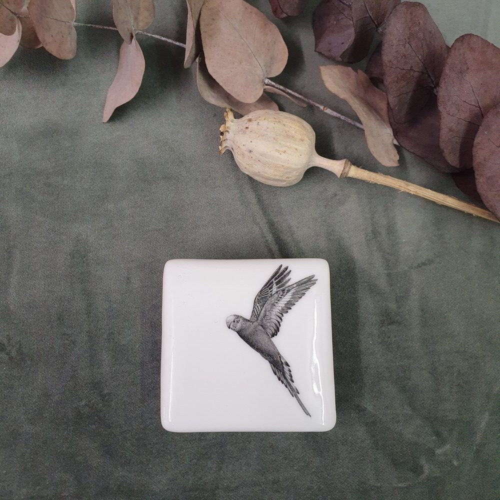 Parrot - Mini square porcelain box