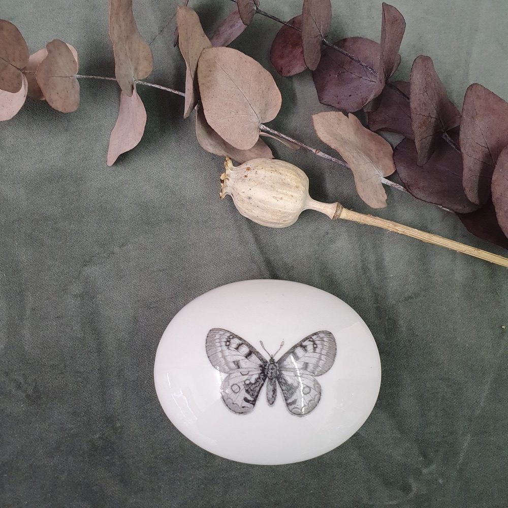 Butterfly - Oval porcelain box