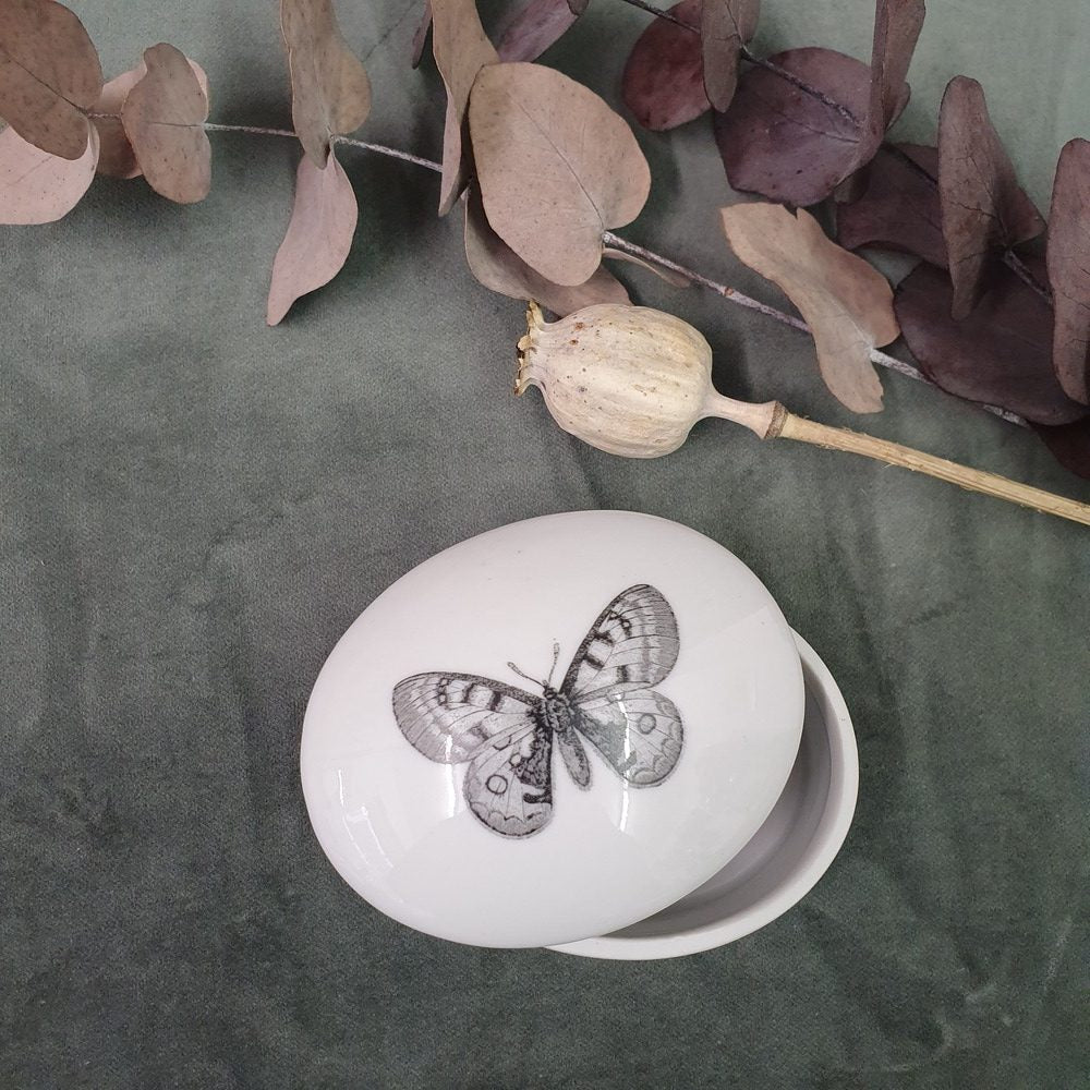 Butterfly - Oval porcelain box