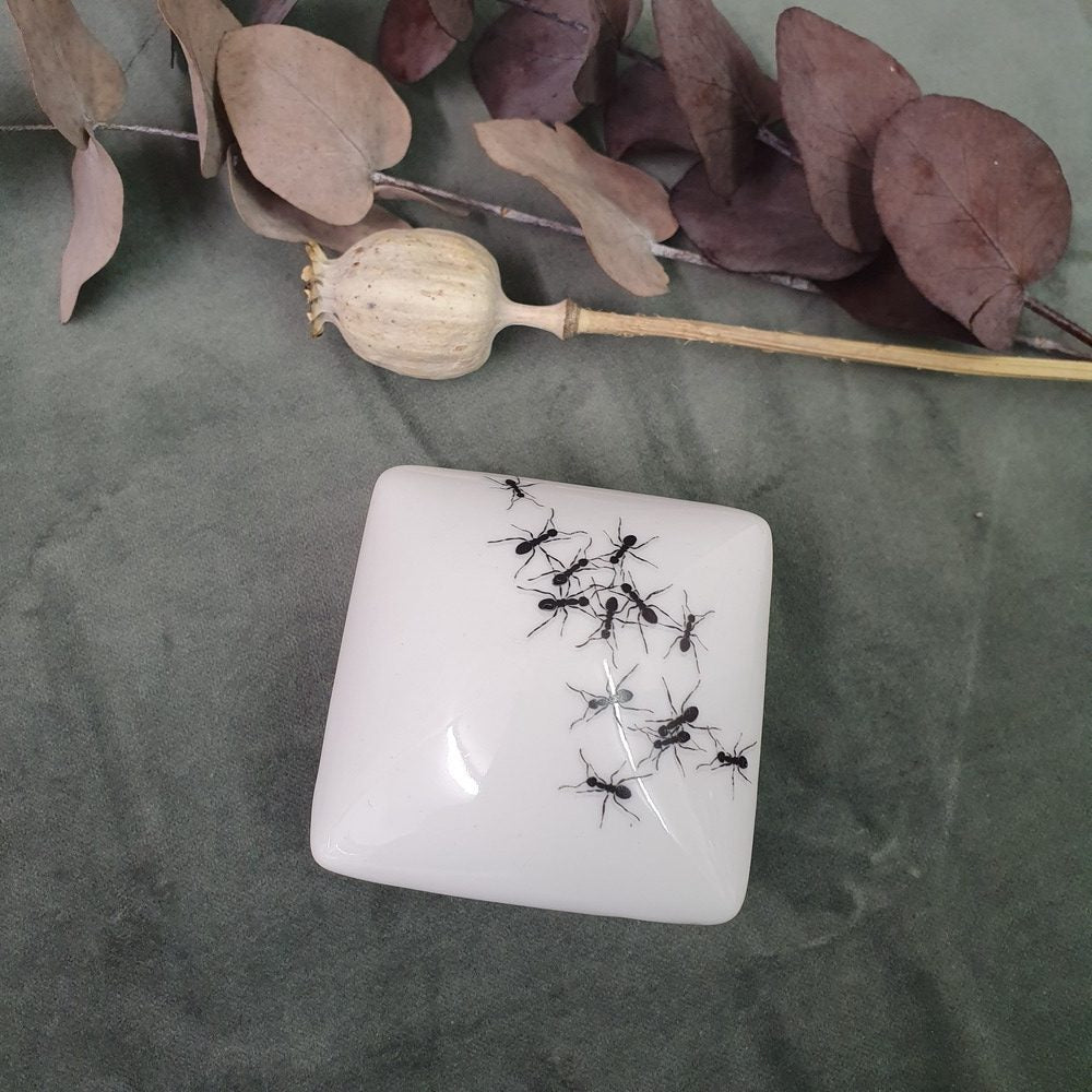 Ants - Square porcelain box