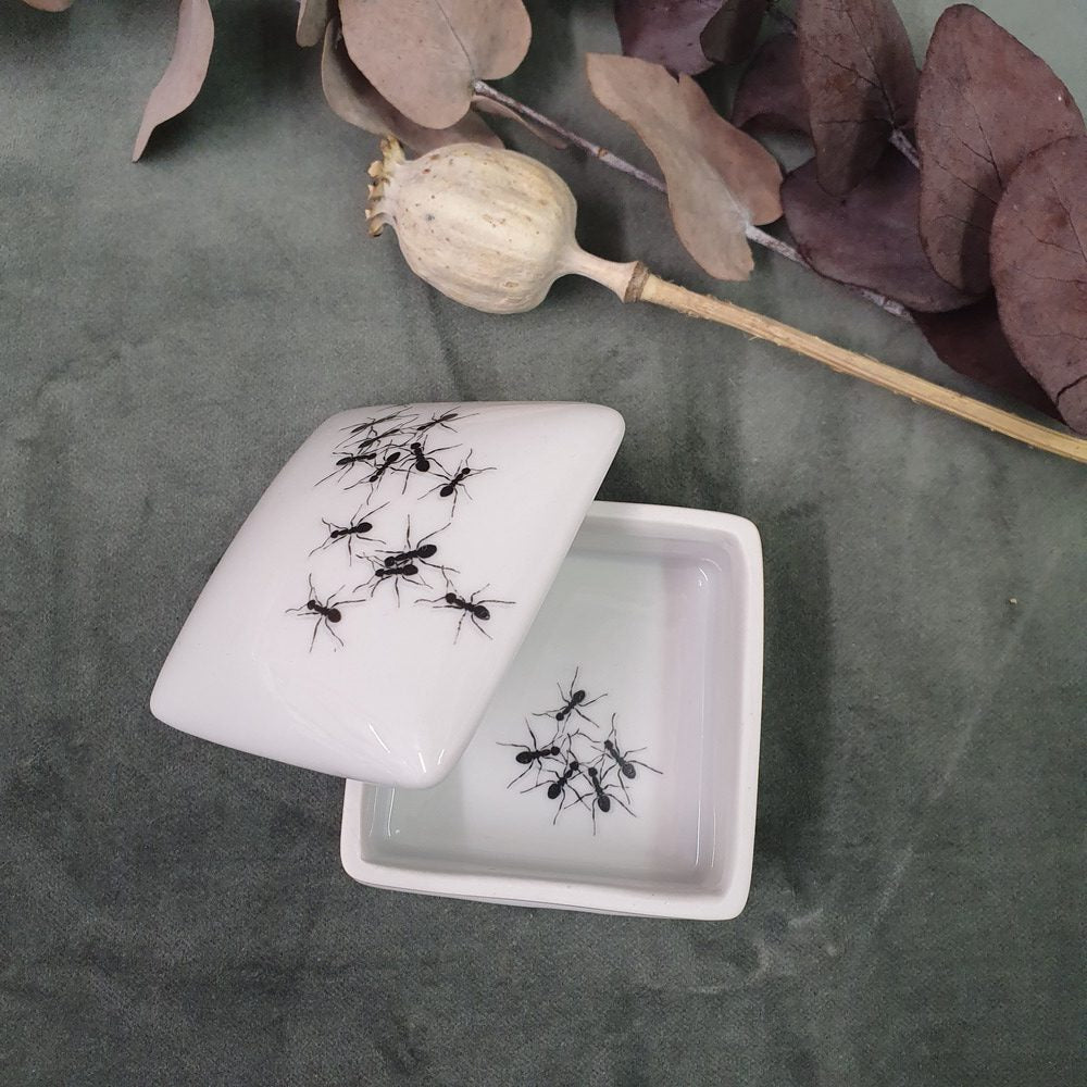 Ants - Square porcelain box