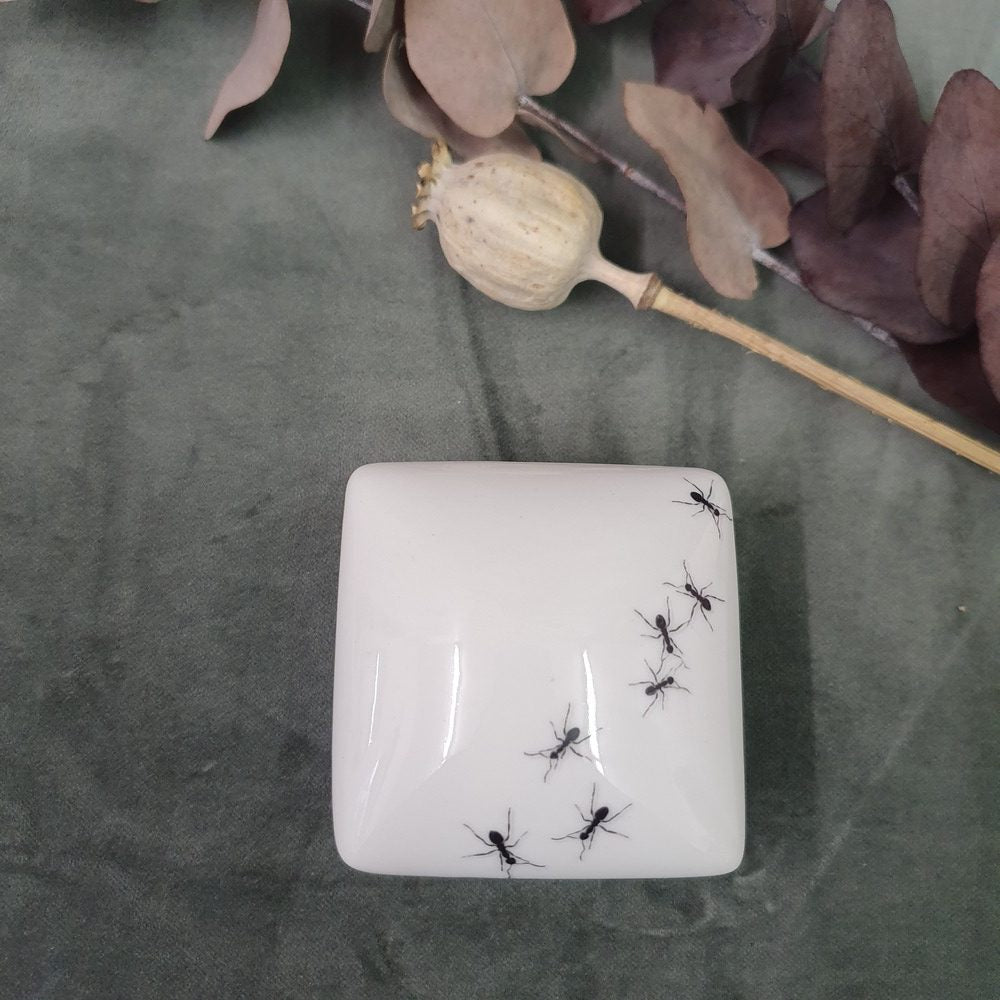 Ants II - Square porcelain box