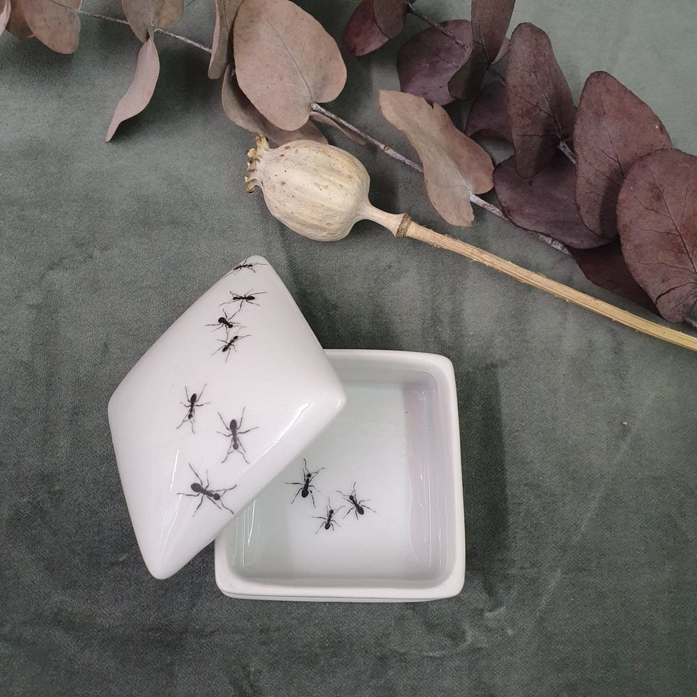 Ants II - Square porcelain box