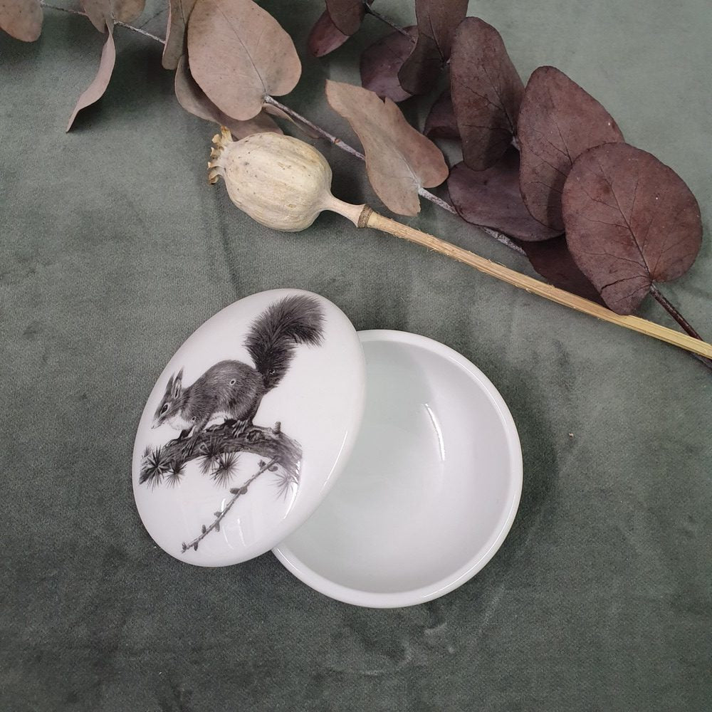 Squirrel - Round porcelain box