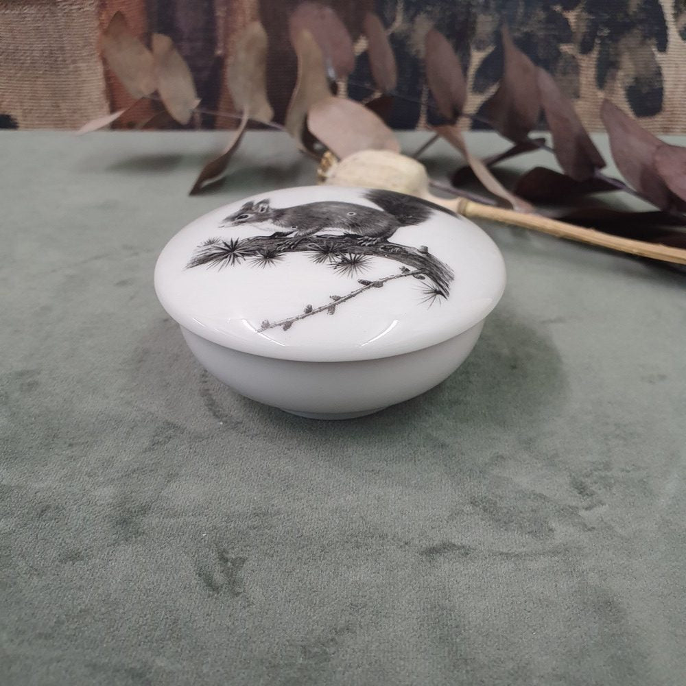 Squirrel - Round porcelain box