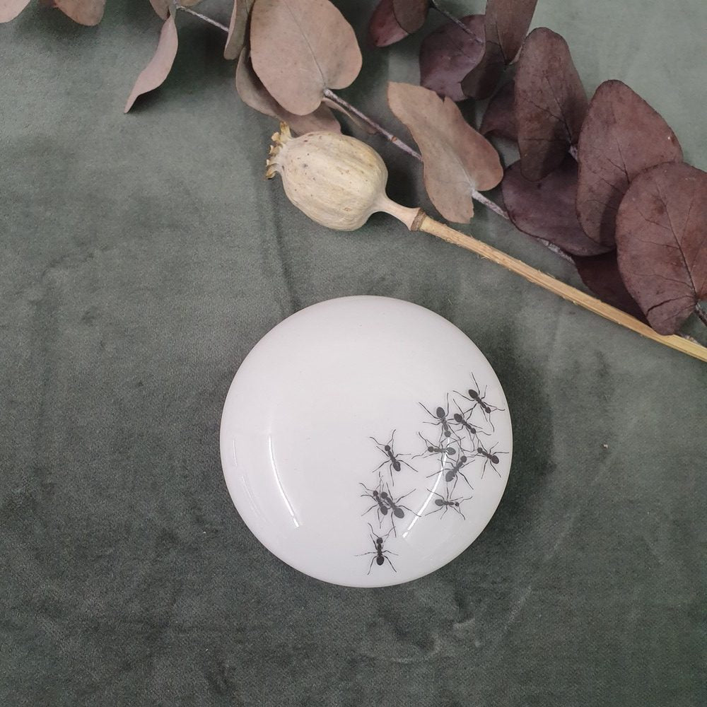 Ants - Round porcelain box