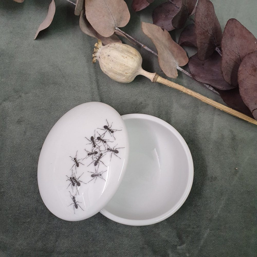 Ants - Round porcelain box