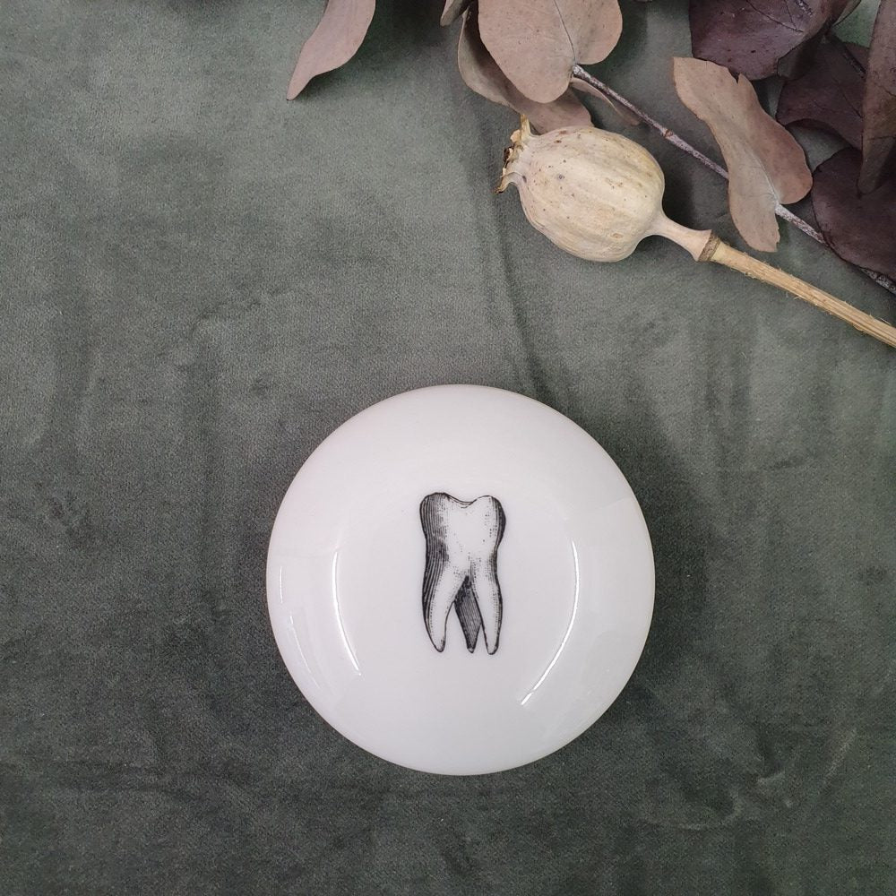 Tooth - Round porcelain box