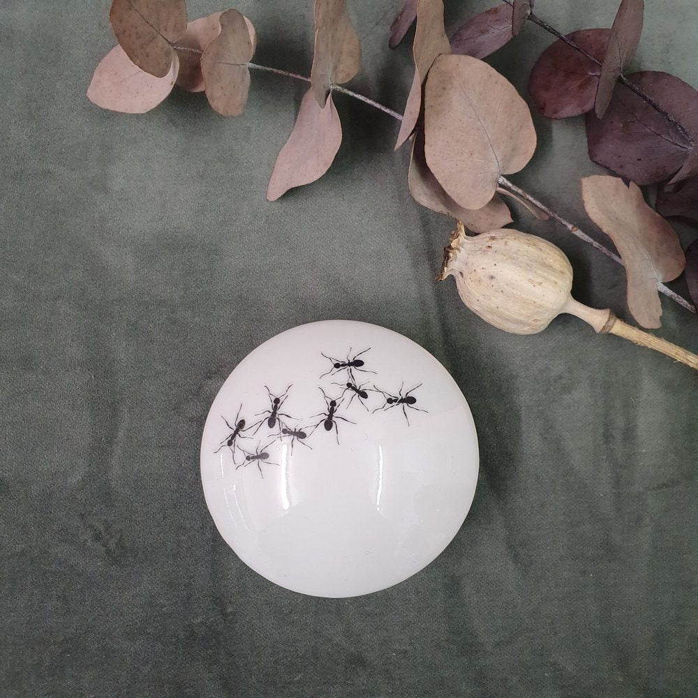 Ants - Round porcelain box