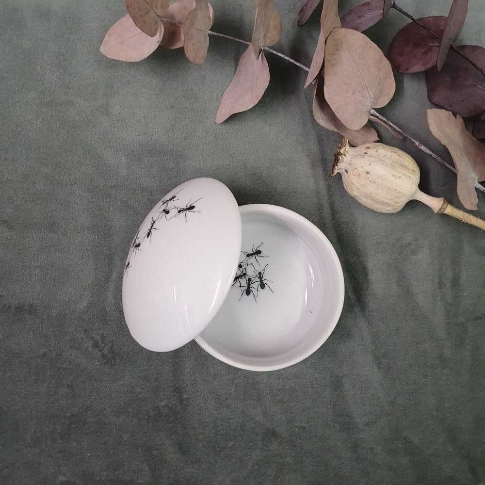 Ants - Round porcelain box