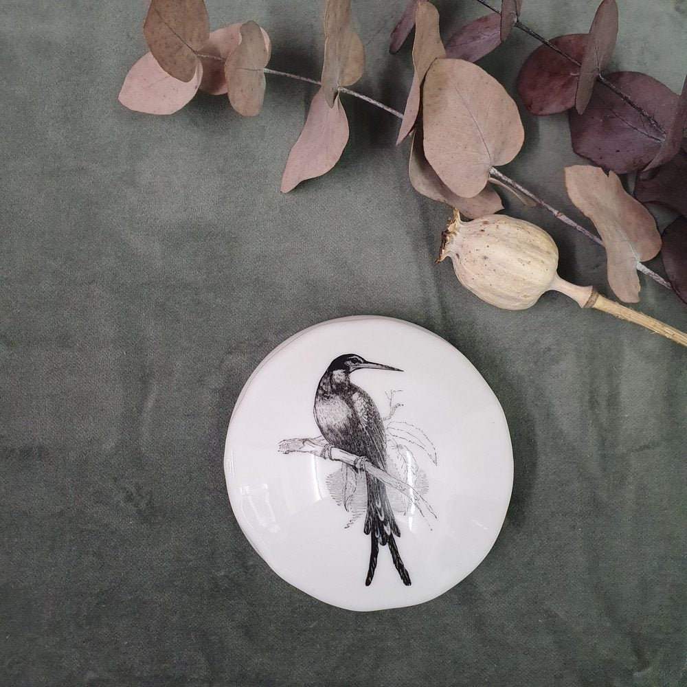 Junglebird - Flat round porcelain box