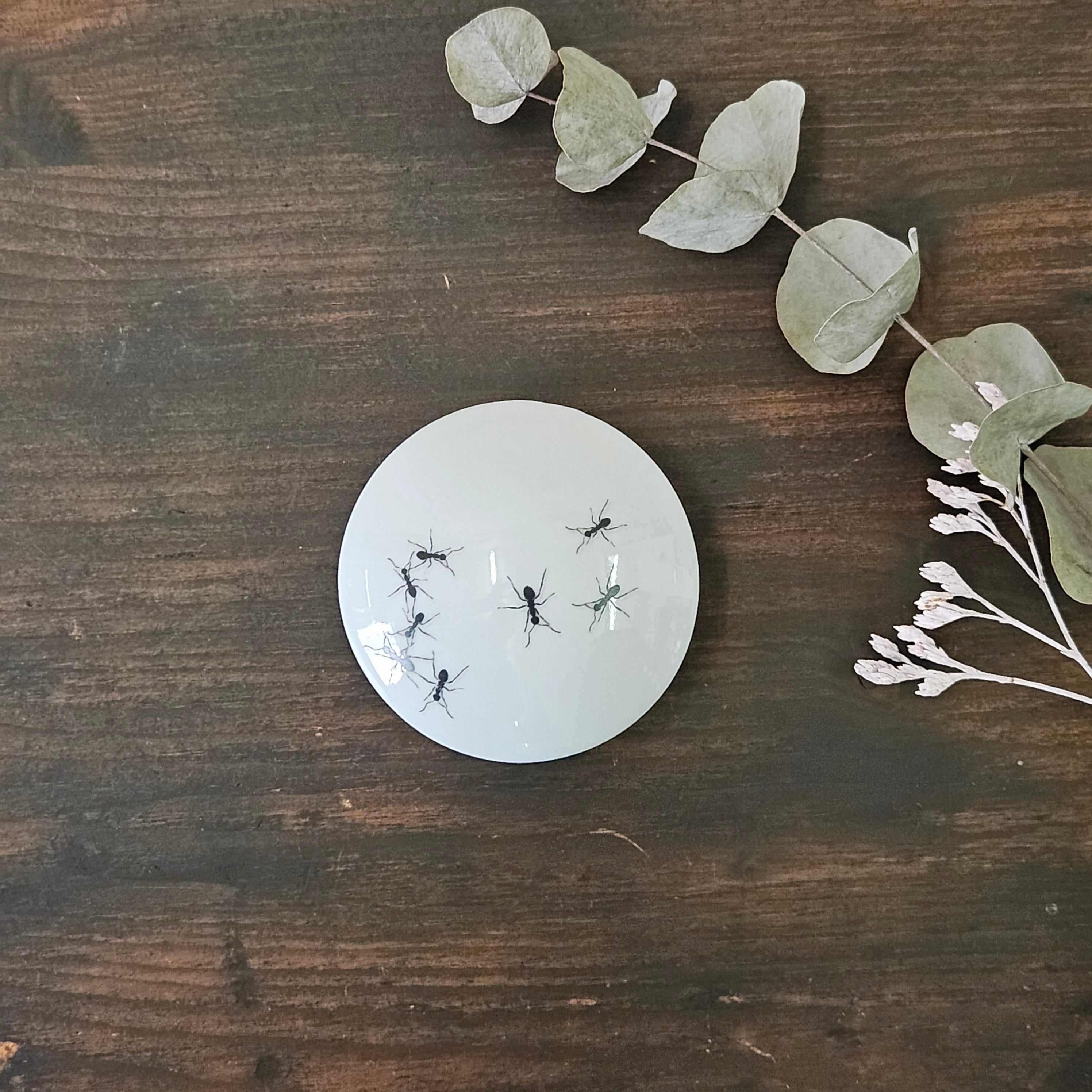 Ants - Round porcelain box