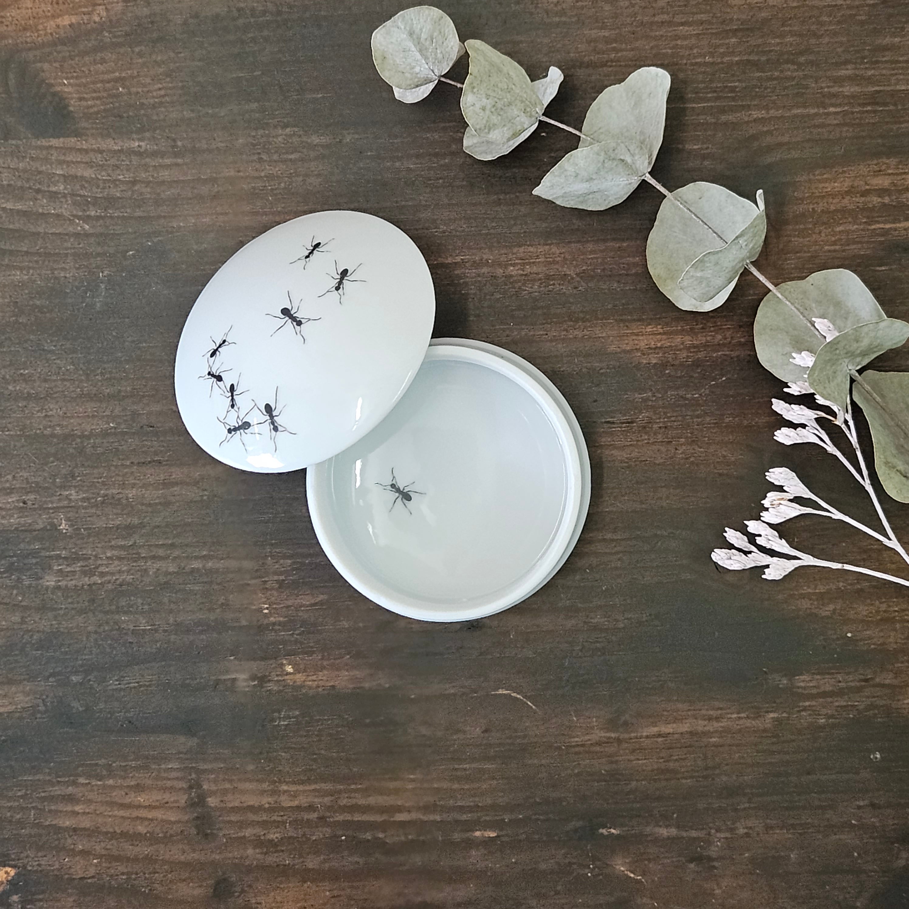 Ants - Round porcelain box