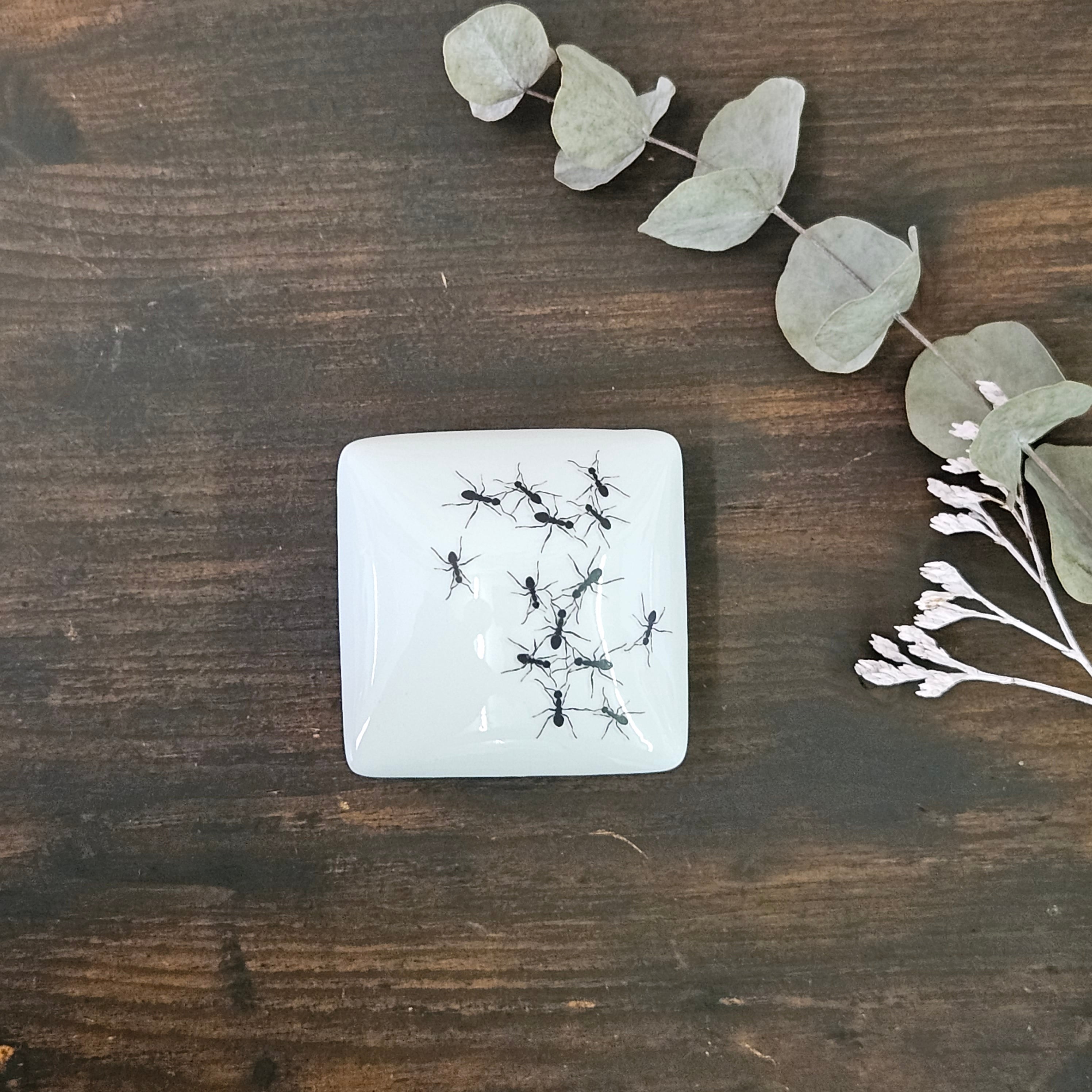 Ants - Square porcelain box