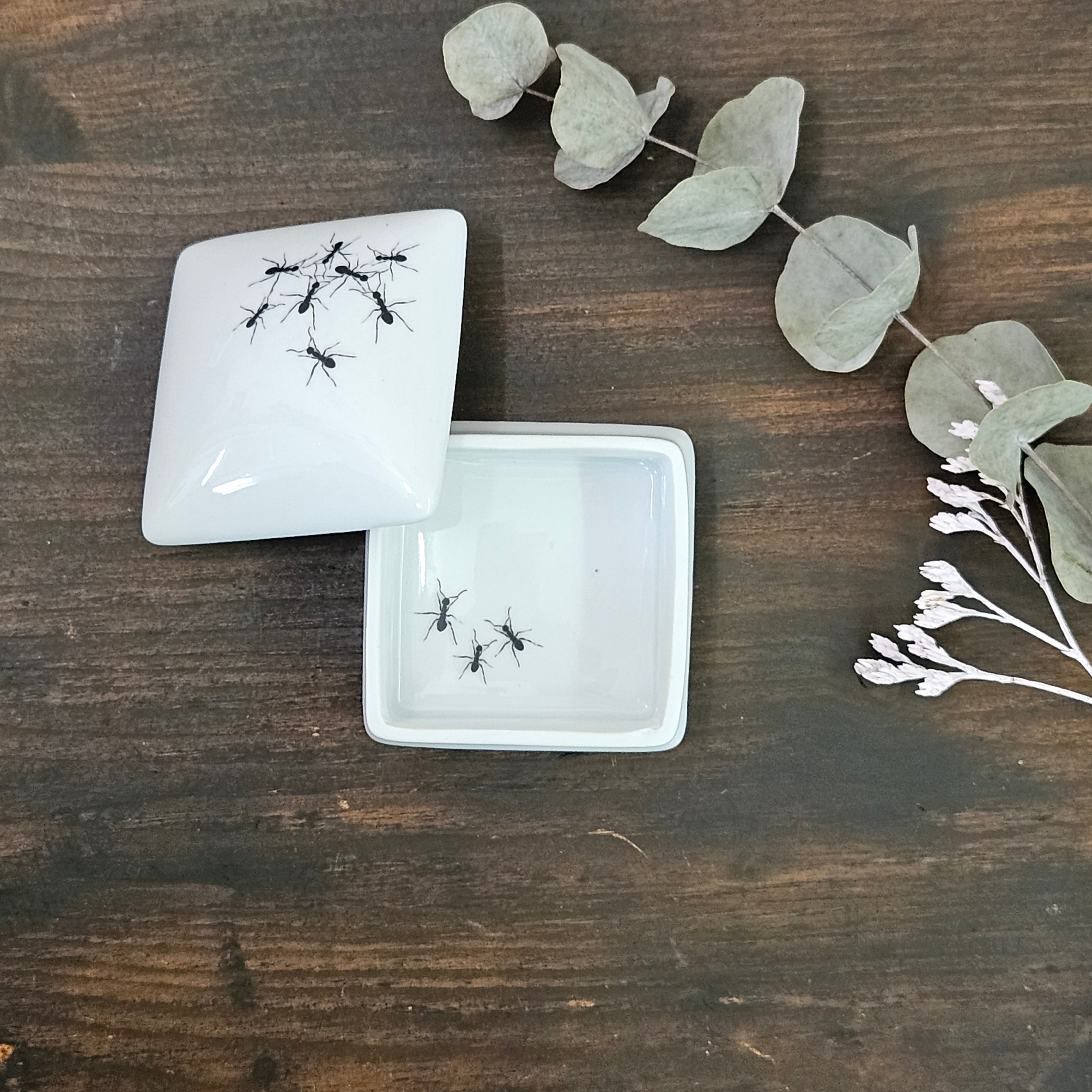 Ants II - Square porcelain box