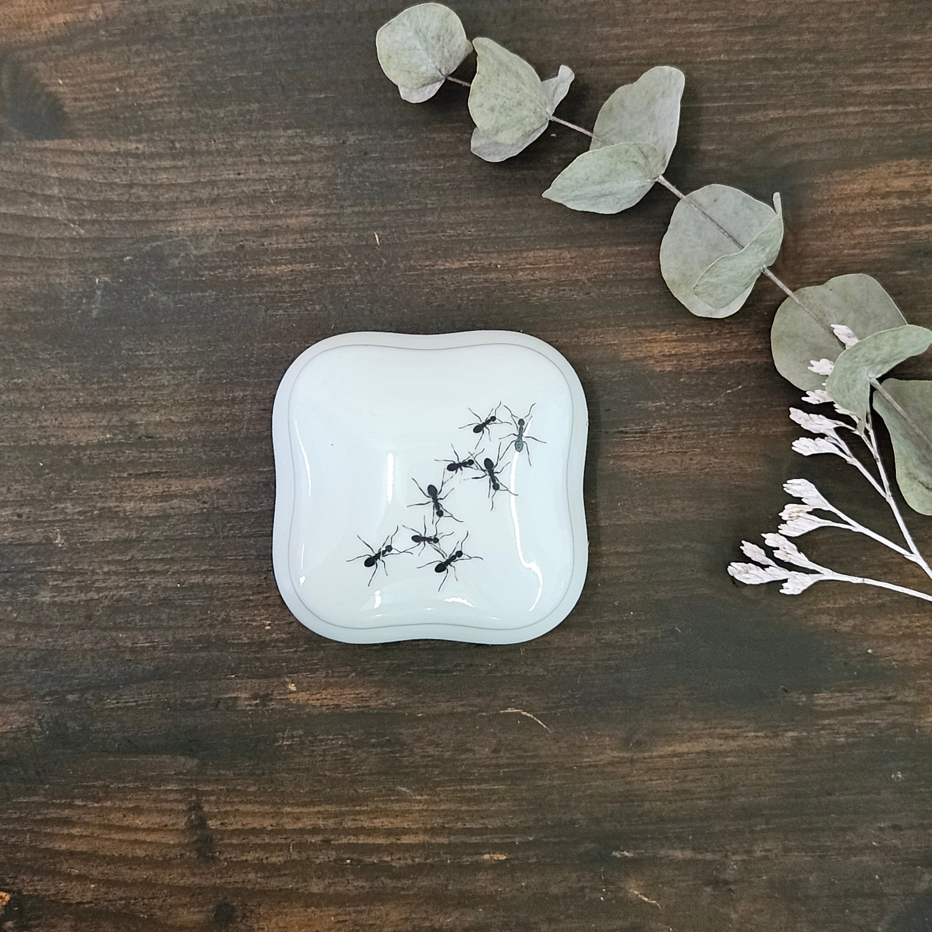 Ants - Rounded square porcelain box