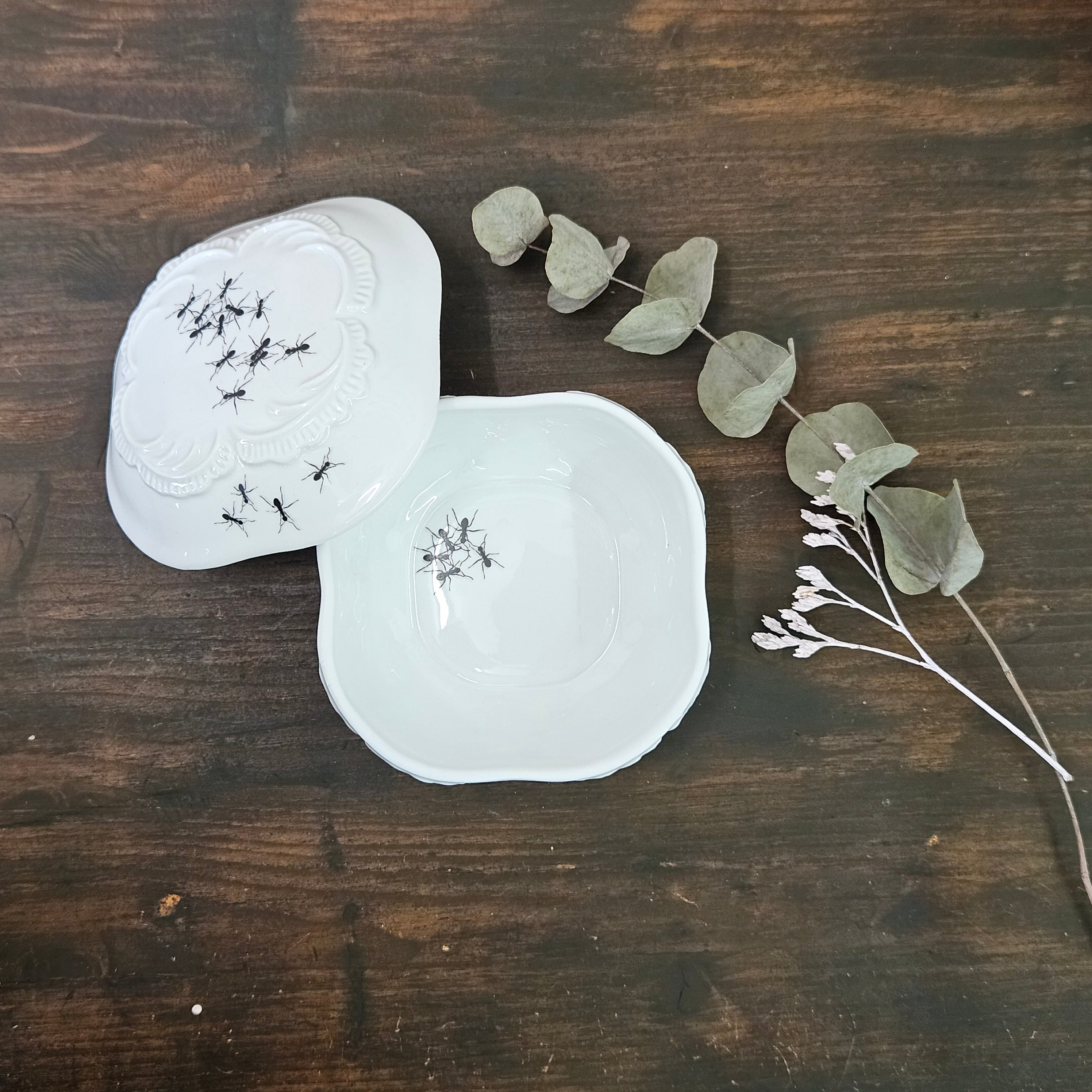 Ants - Big rounded square porcelain box