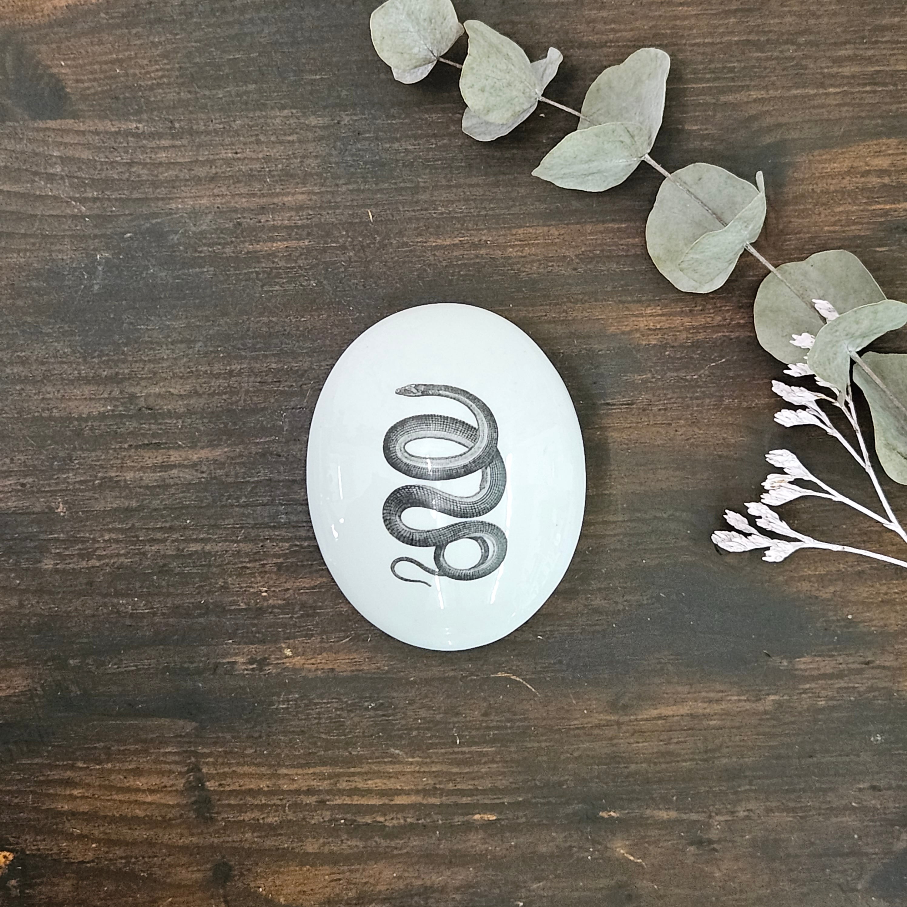 Snake - Oval porcelain box