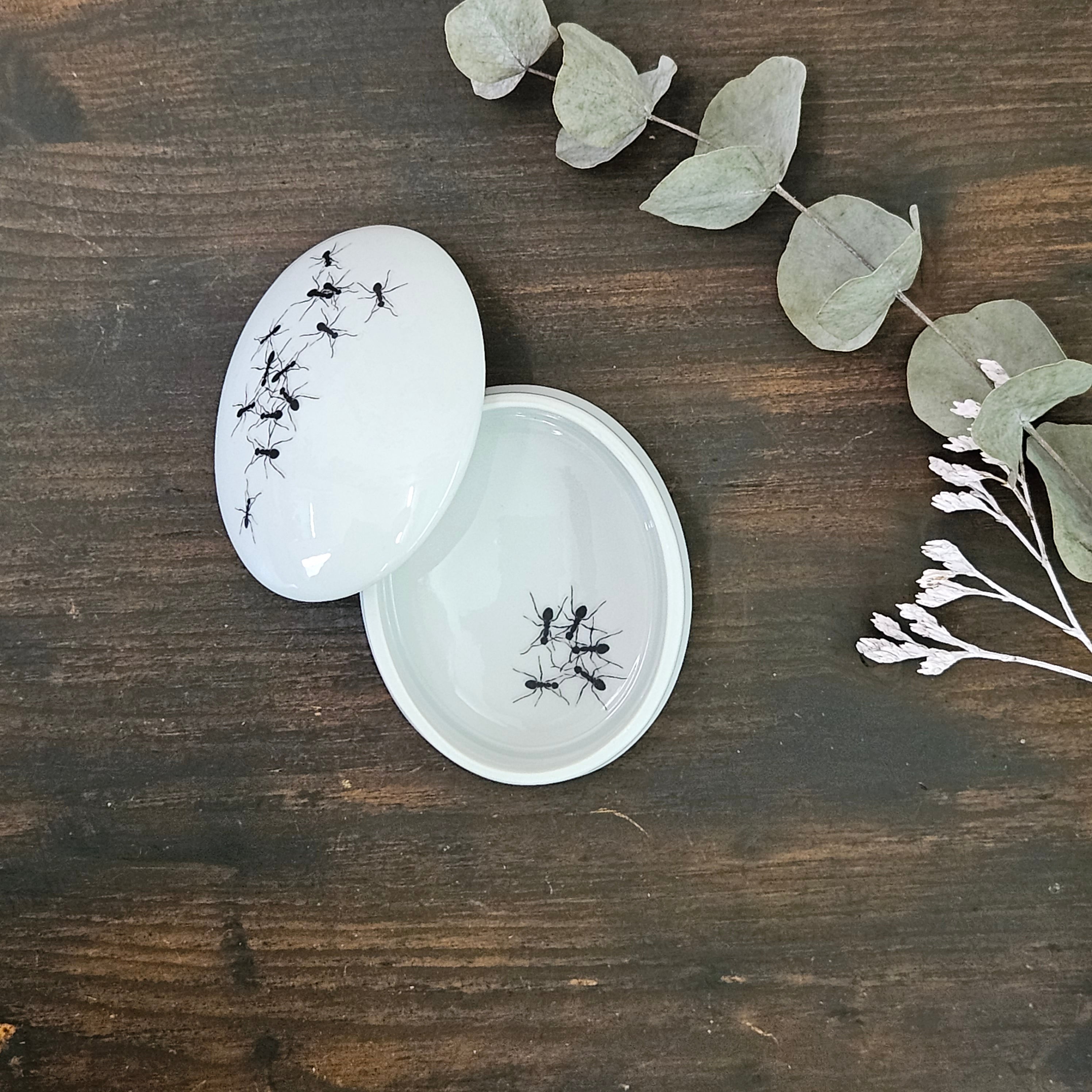 Ants - Oval porcelain box