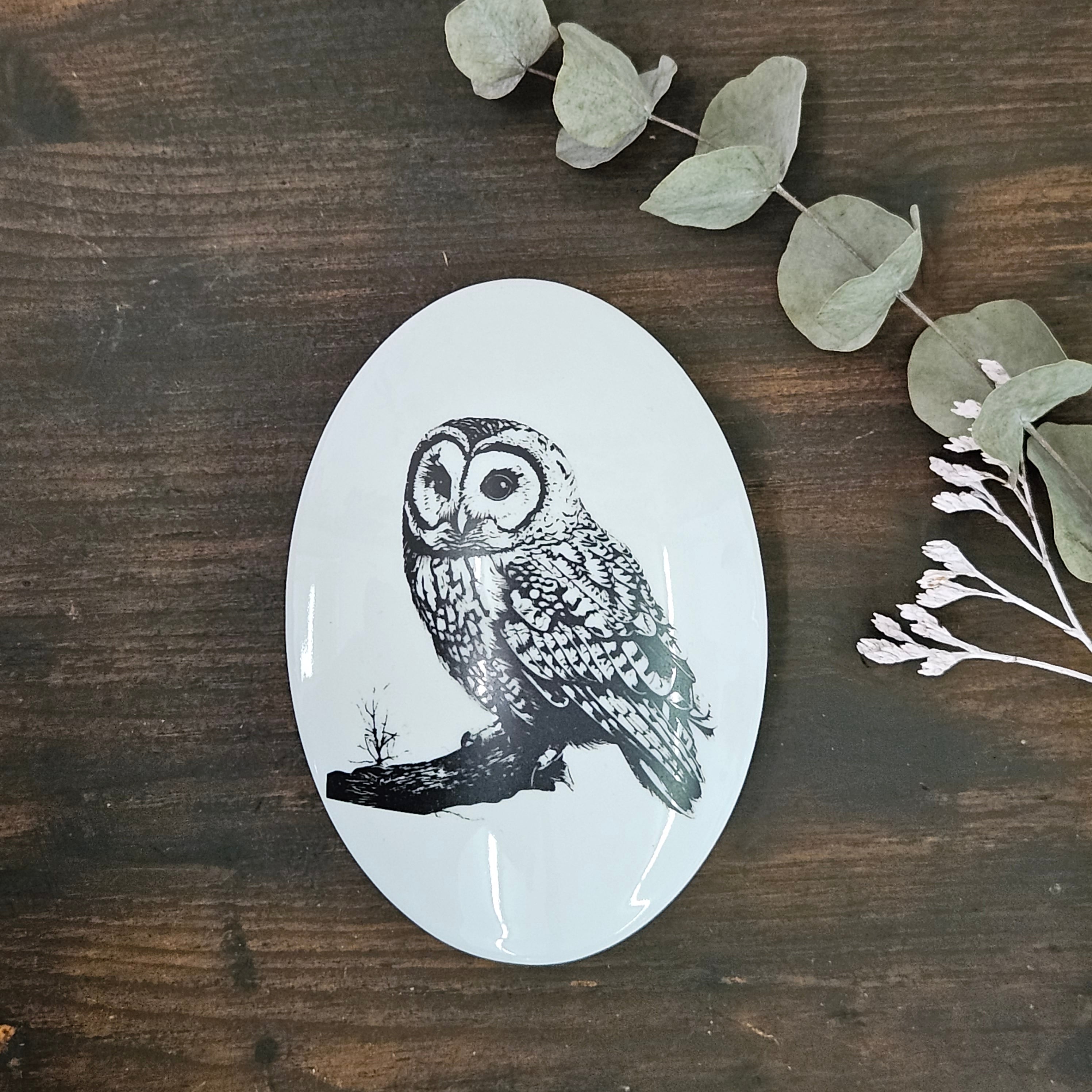 Owl on tree - Big oval porcelain box