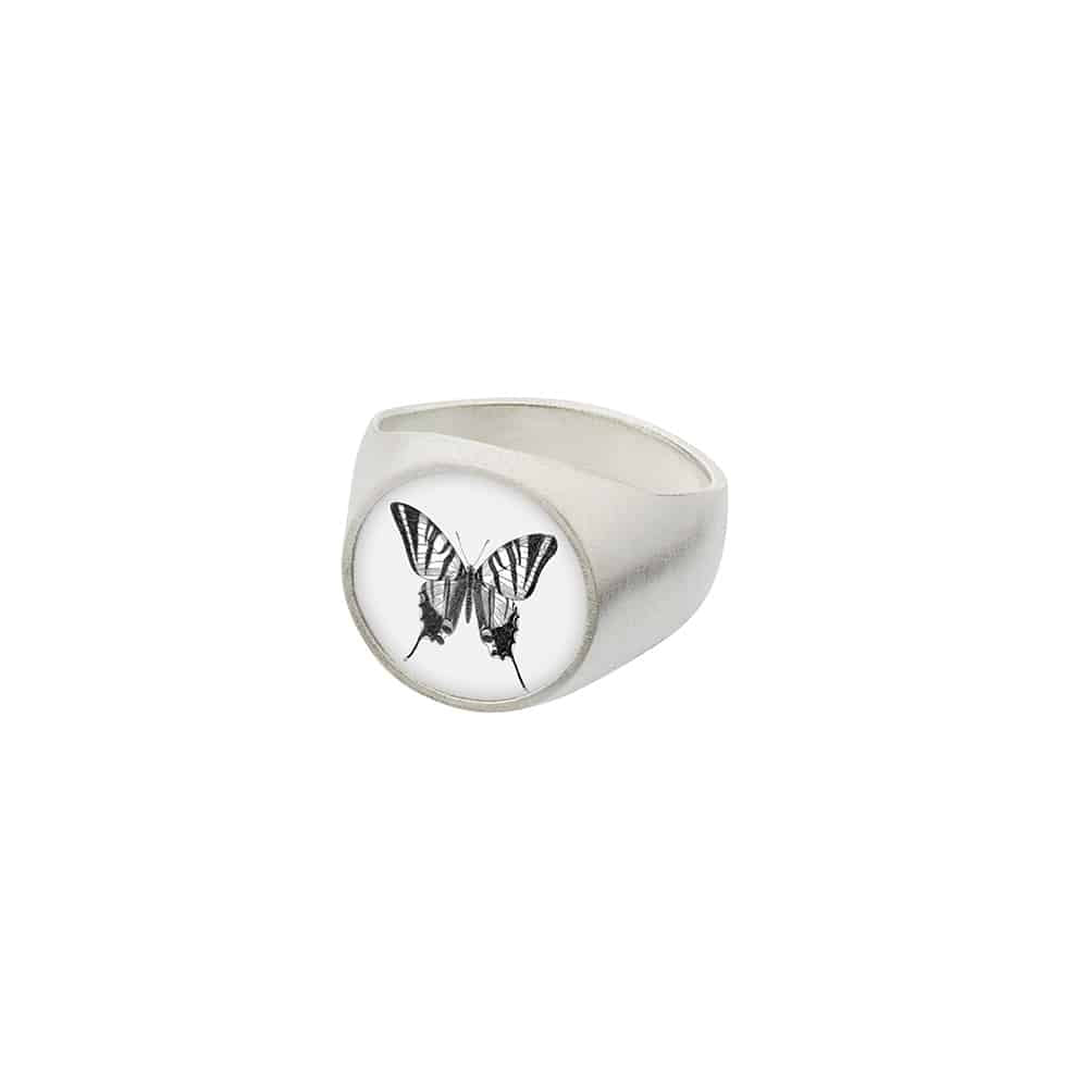 The Round Signet Ring - Tiger Swallowtail