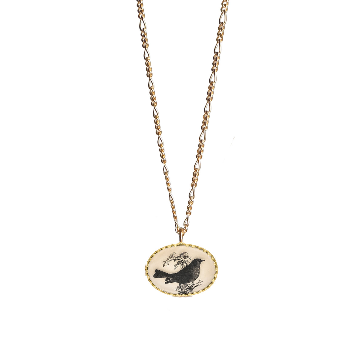 figaro--victoria-gold-songbird 